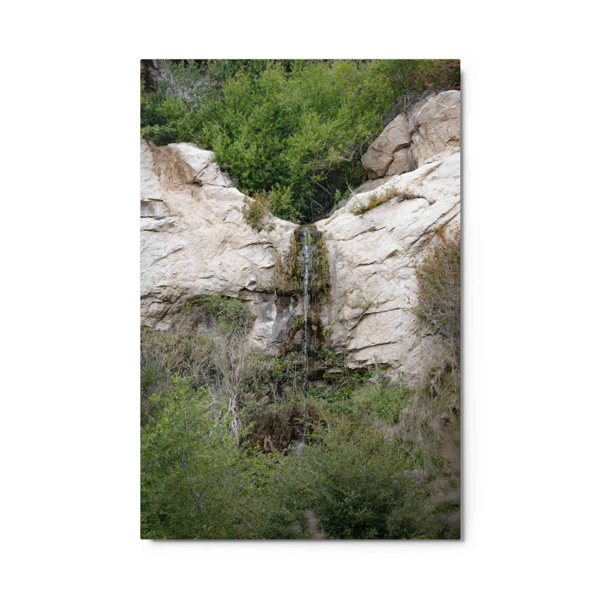 glossy-metal-print-(in)-white-24x36-front-6a4b9f5b6af93.jpg