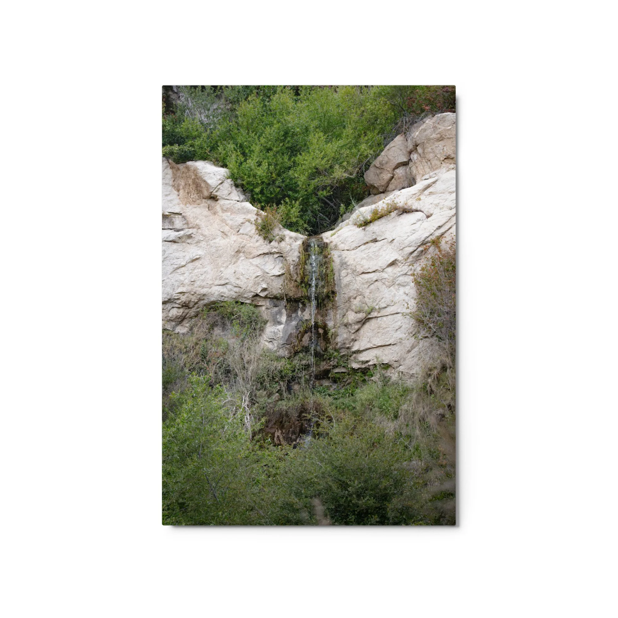 glossy-metal-print-(in)-white-20x30-front-6a4b9f5b6ba3f.jpg