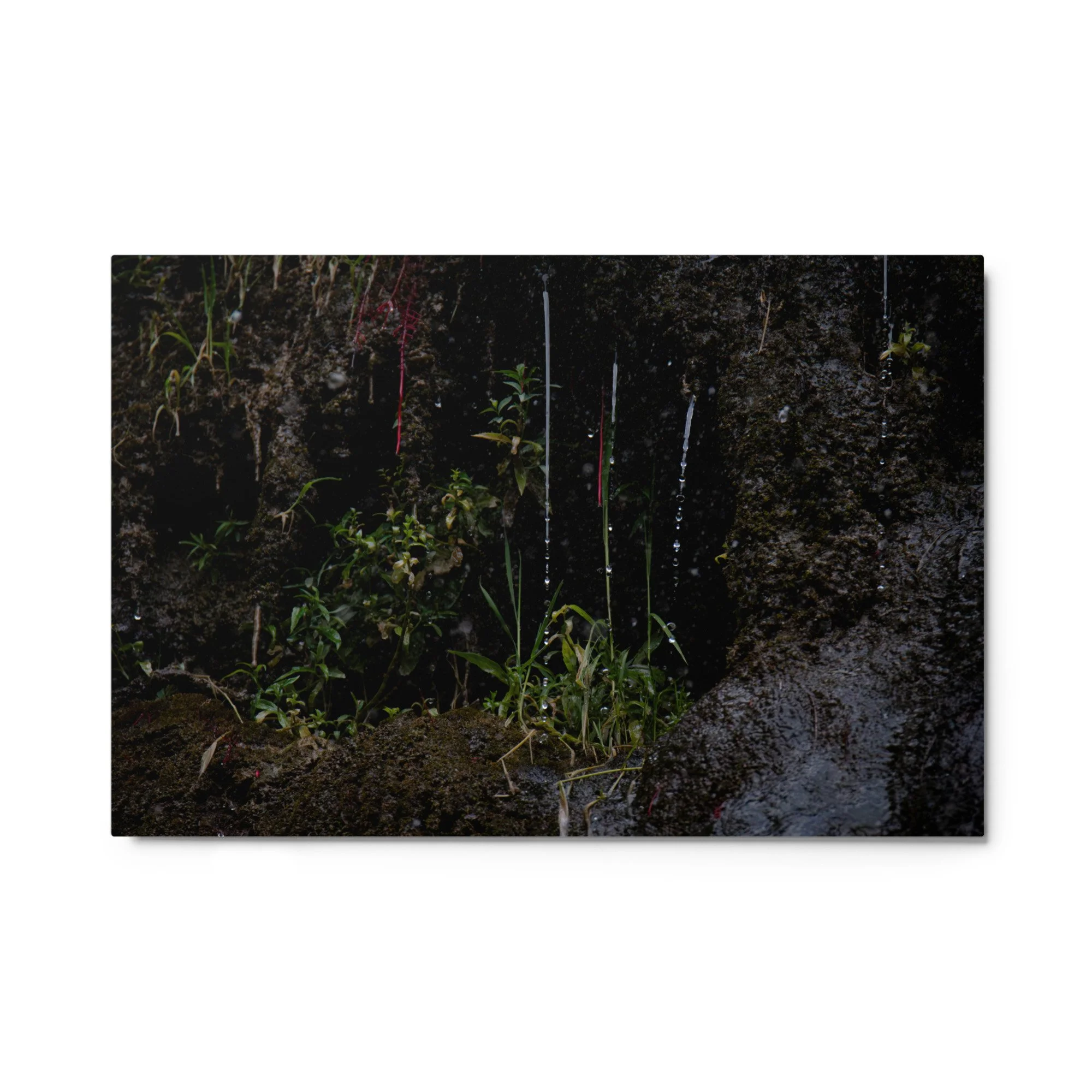glossy-metal-print-(in)-white-24x36-front-6a4ba1c0e19ff.jpg