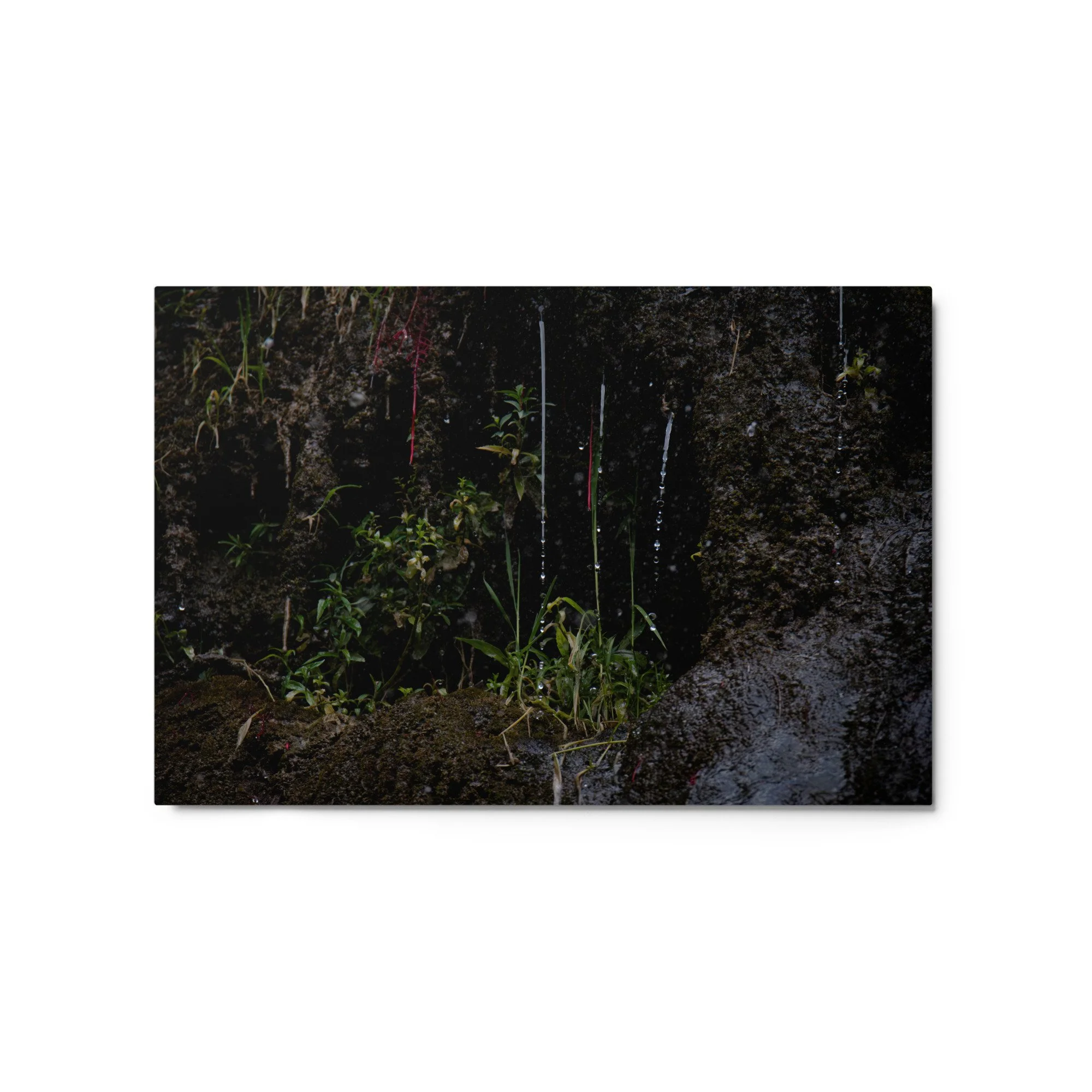glossy-metal-print-(in)-white-20x30-front-6a4ba1c0e2397.jpg