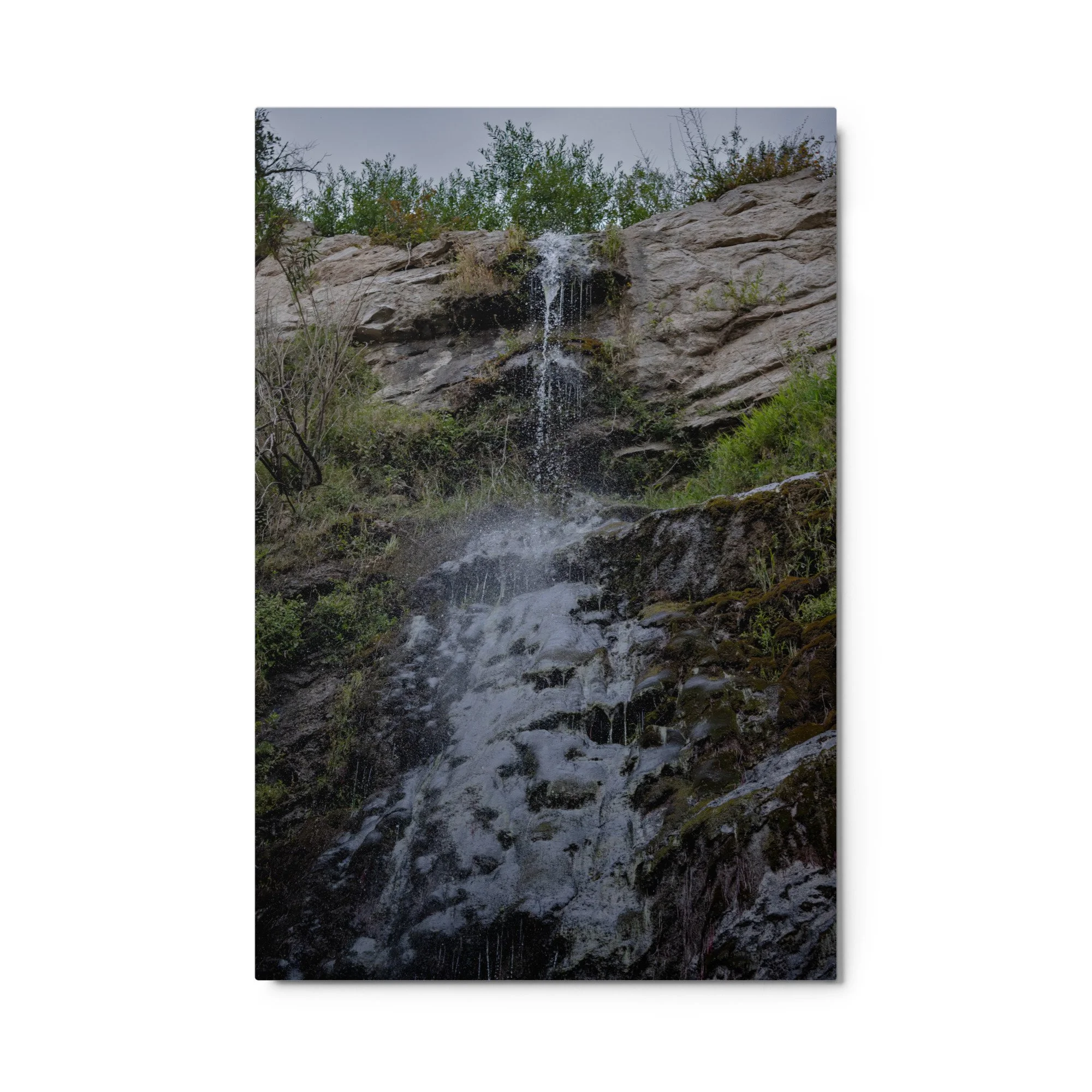 glossy-metal-print-(in)-white-24x36-front-6a4ba3750f75c.jpg