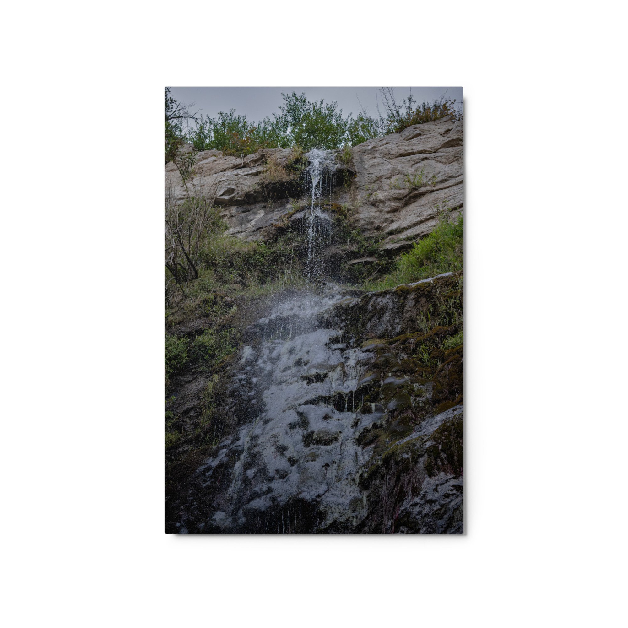 glossy-metal-print-(in)-white-20x30-front-6a4ba375103bc.jpg