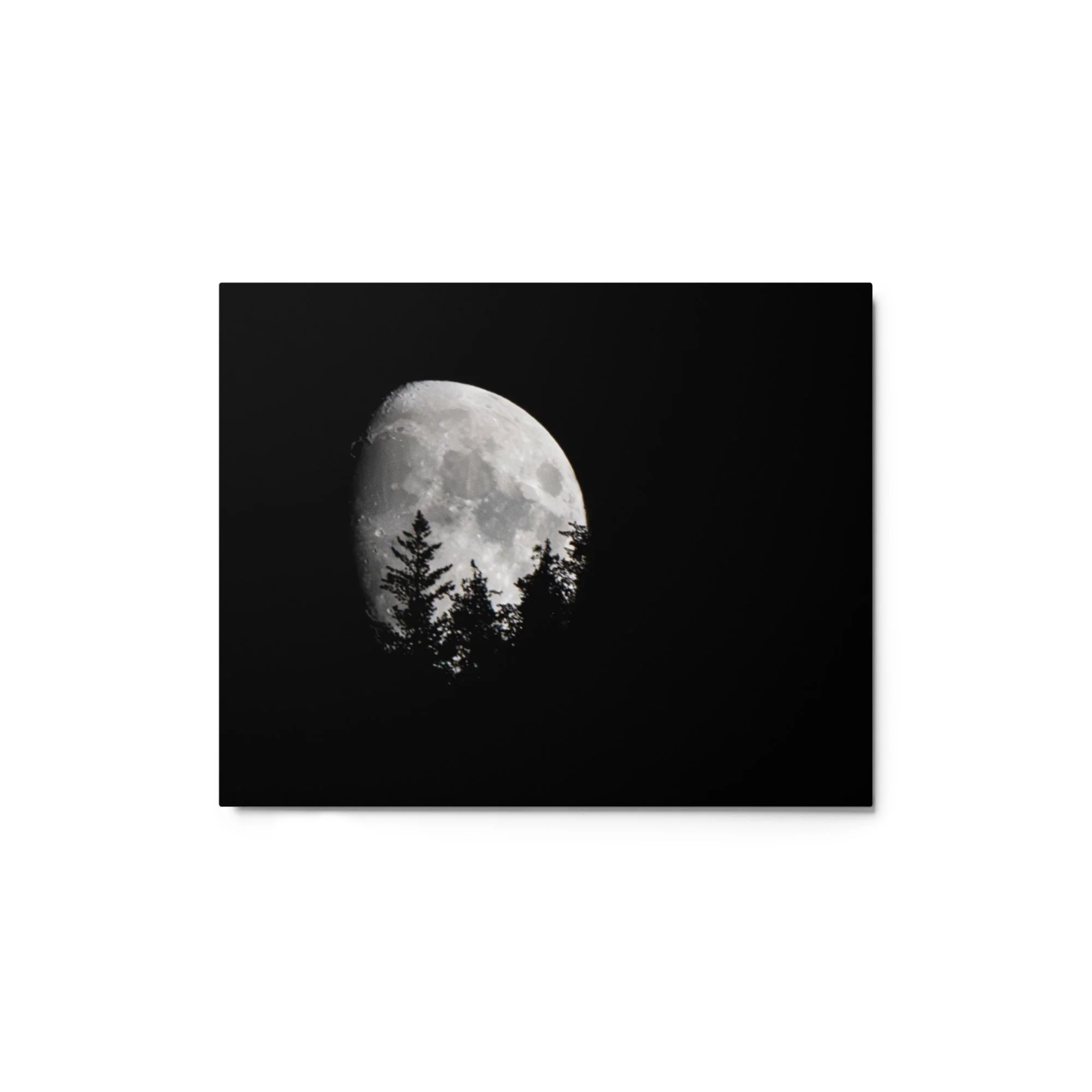 glossy-metal-print-(in)-white-8x10-front-6a8cacdc0b6f2.jpg