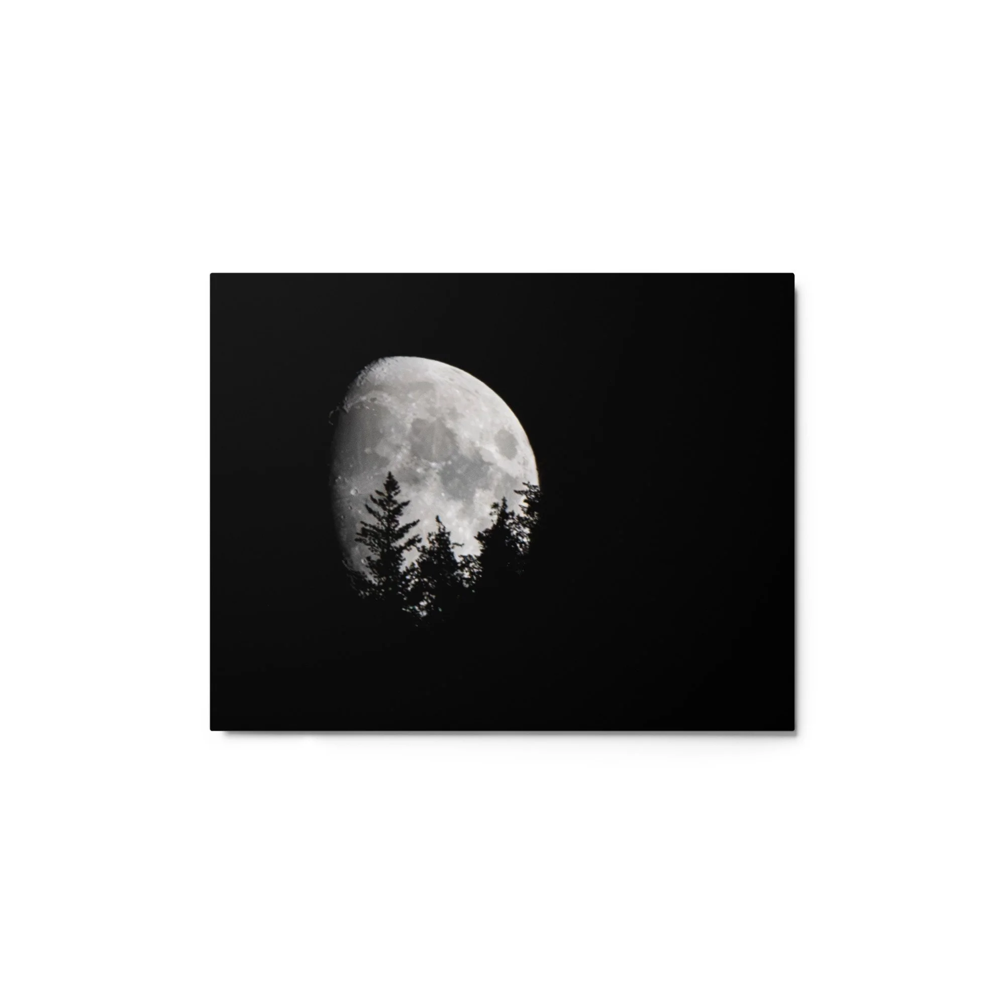 glossy-metal-print-(in)-white-11x14-front-6a8cacdc0b762.jpg