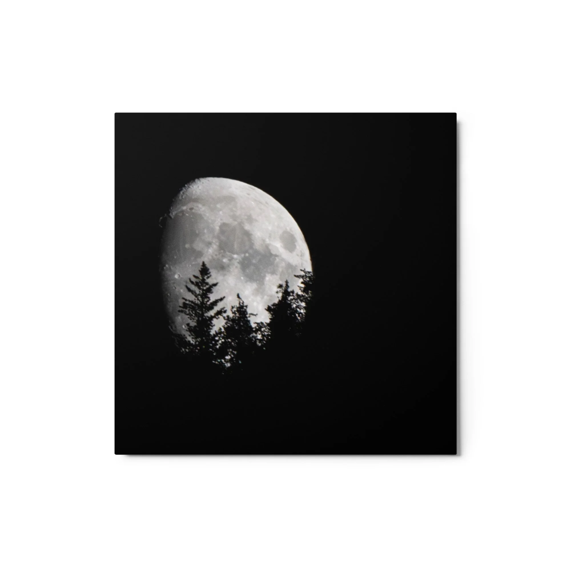 glossy-metal-print-(in)-white-12x12-front-6a8cacdc0b7b0.jpg