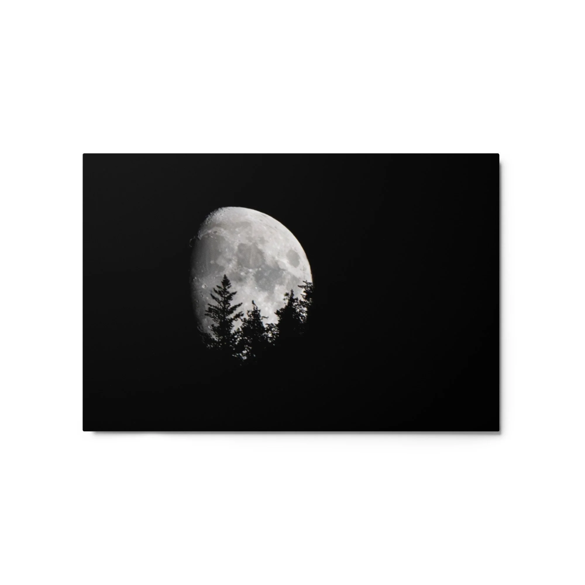 glossy-metal-print-(in)-white-20x30-front-6a8cacdc0b820.jpg