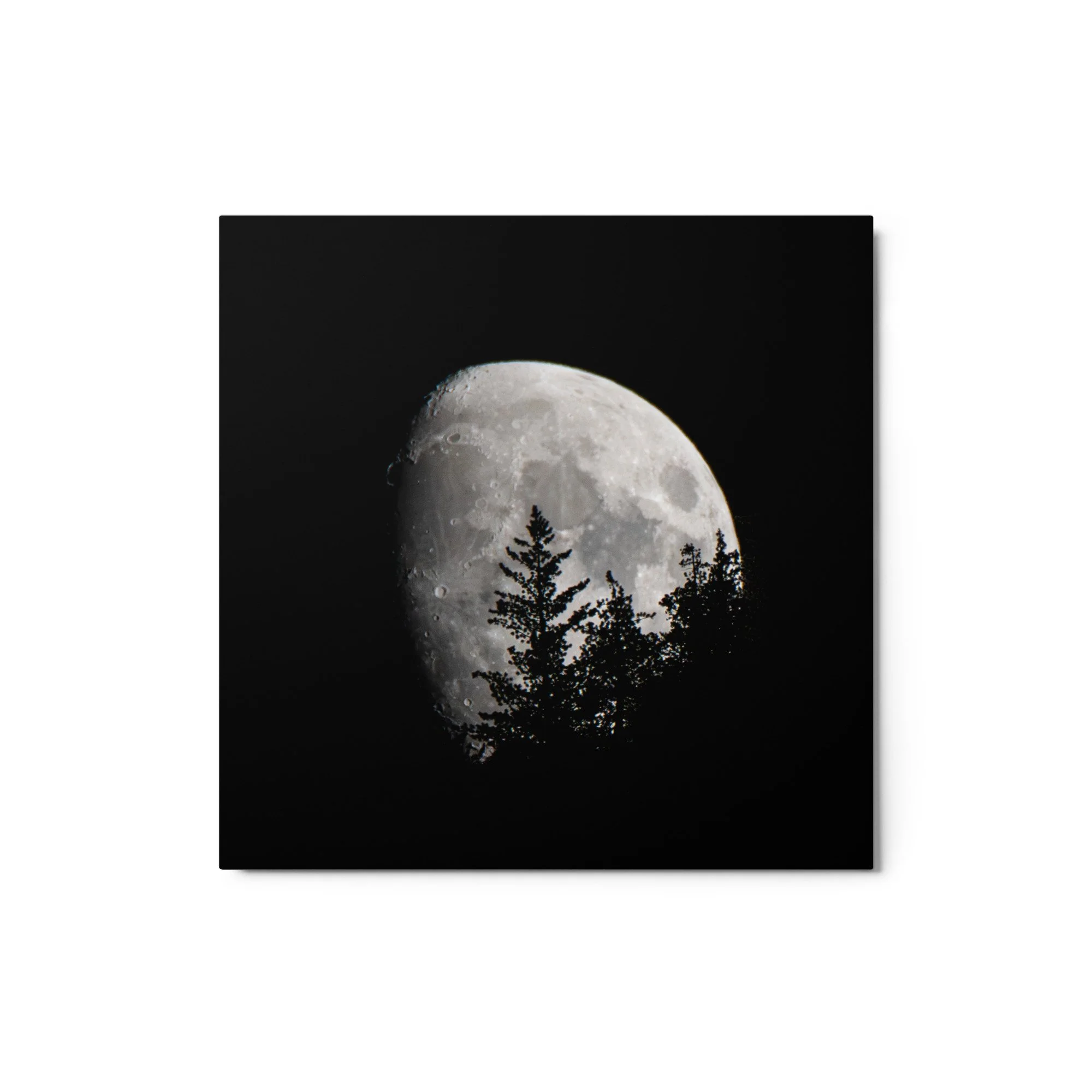 glossy-metal-print-(in)-white-12x12-front-6a8cb17aedb49.jpg