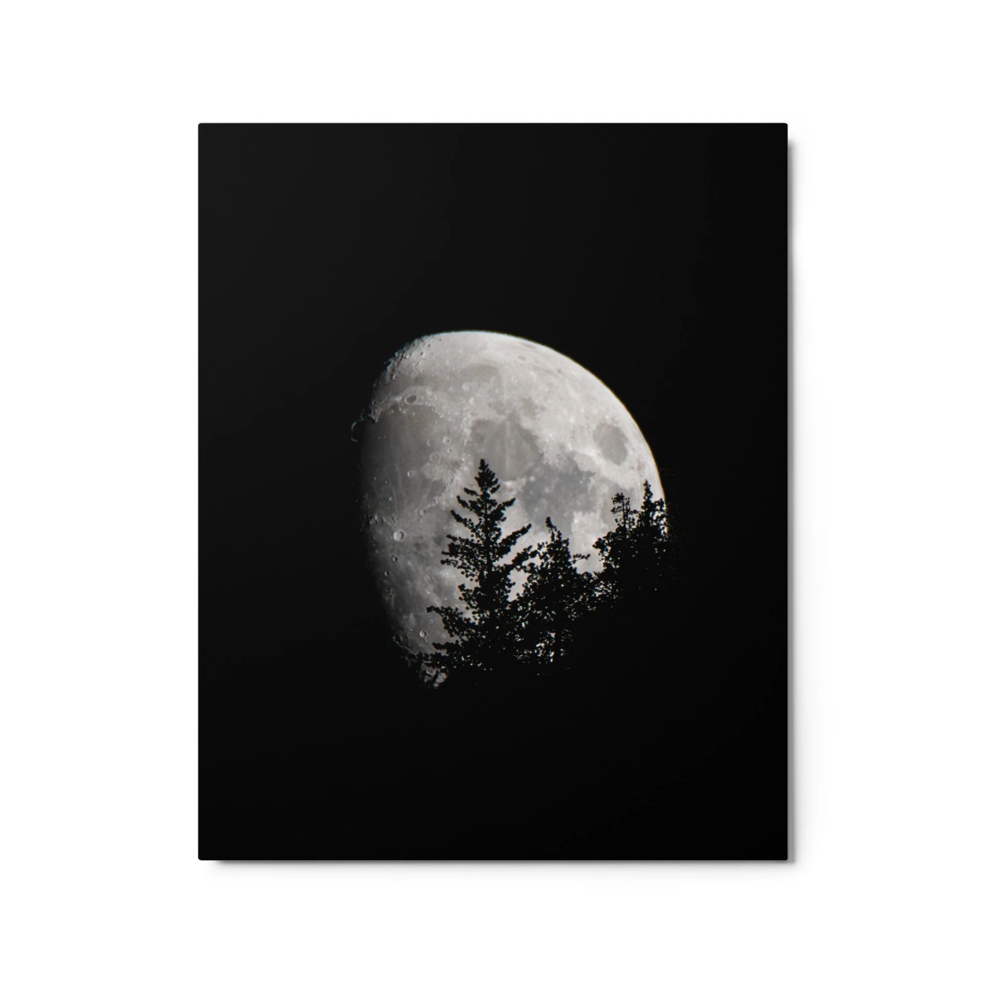 glossy-metal-print-(in)-white-16x20-front-6a8cb17aedb98.jpg