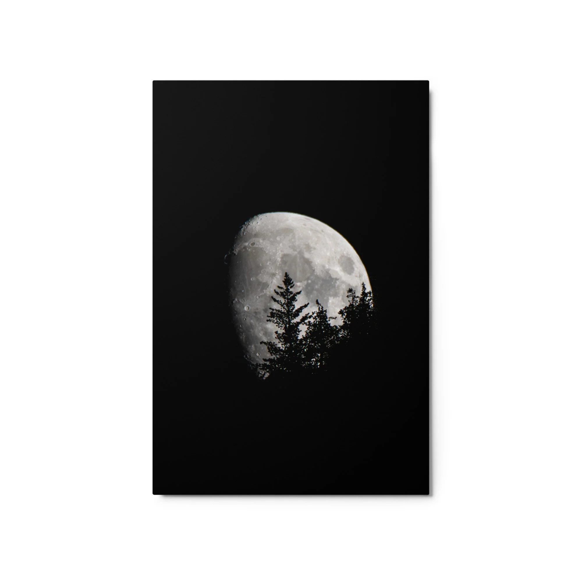 glossy-metal-print-(in)-white-20x30-front-6a8cb17aedbe4.jpg