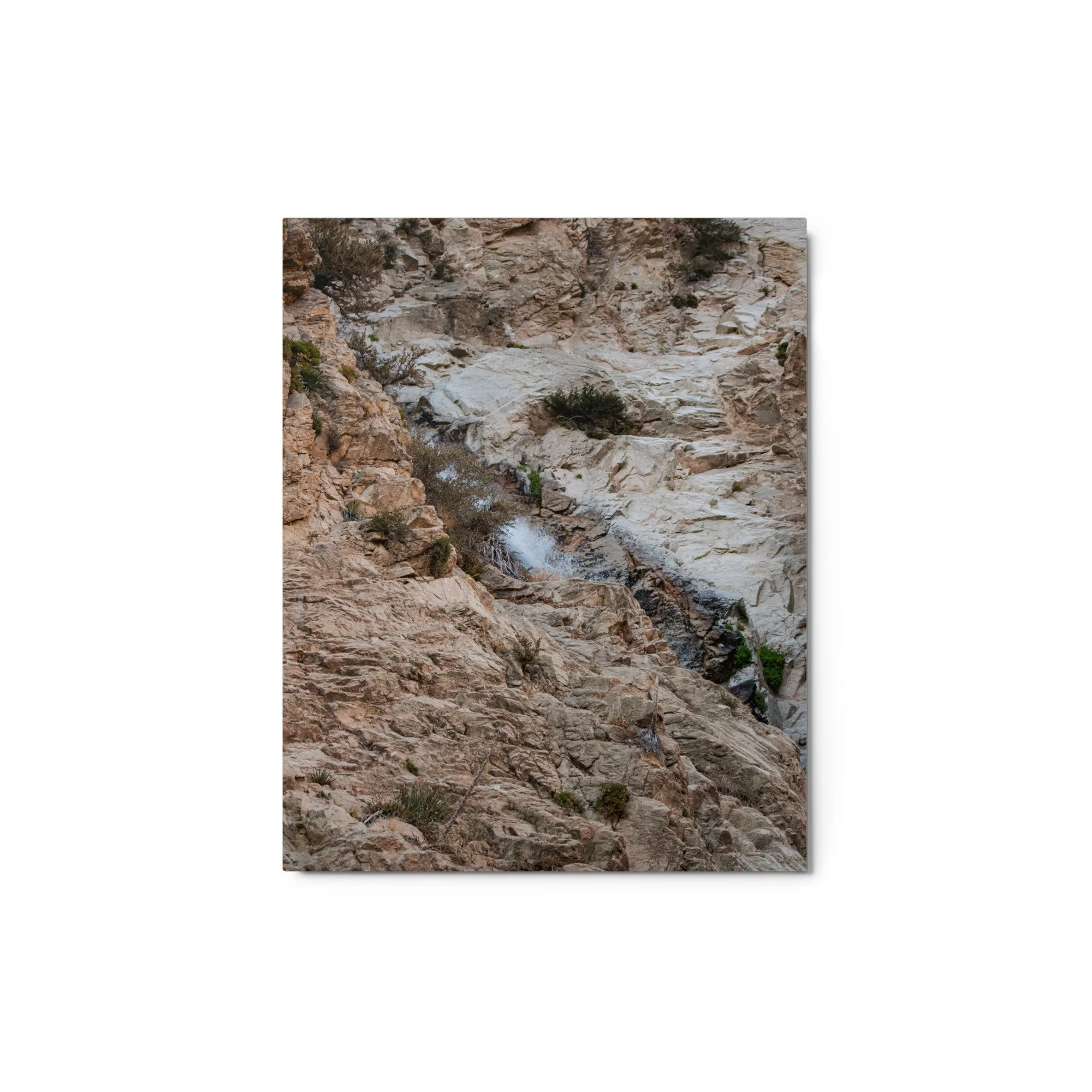 glossy-metal-print-(in)-white-8x10-front-6a8cc3195fb8a.jpg