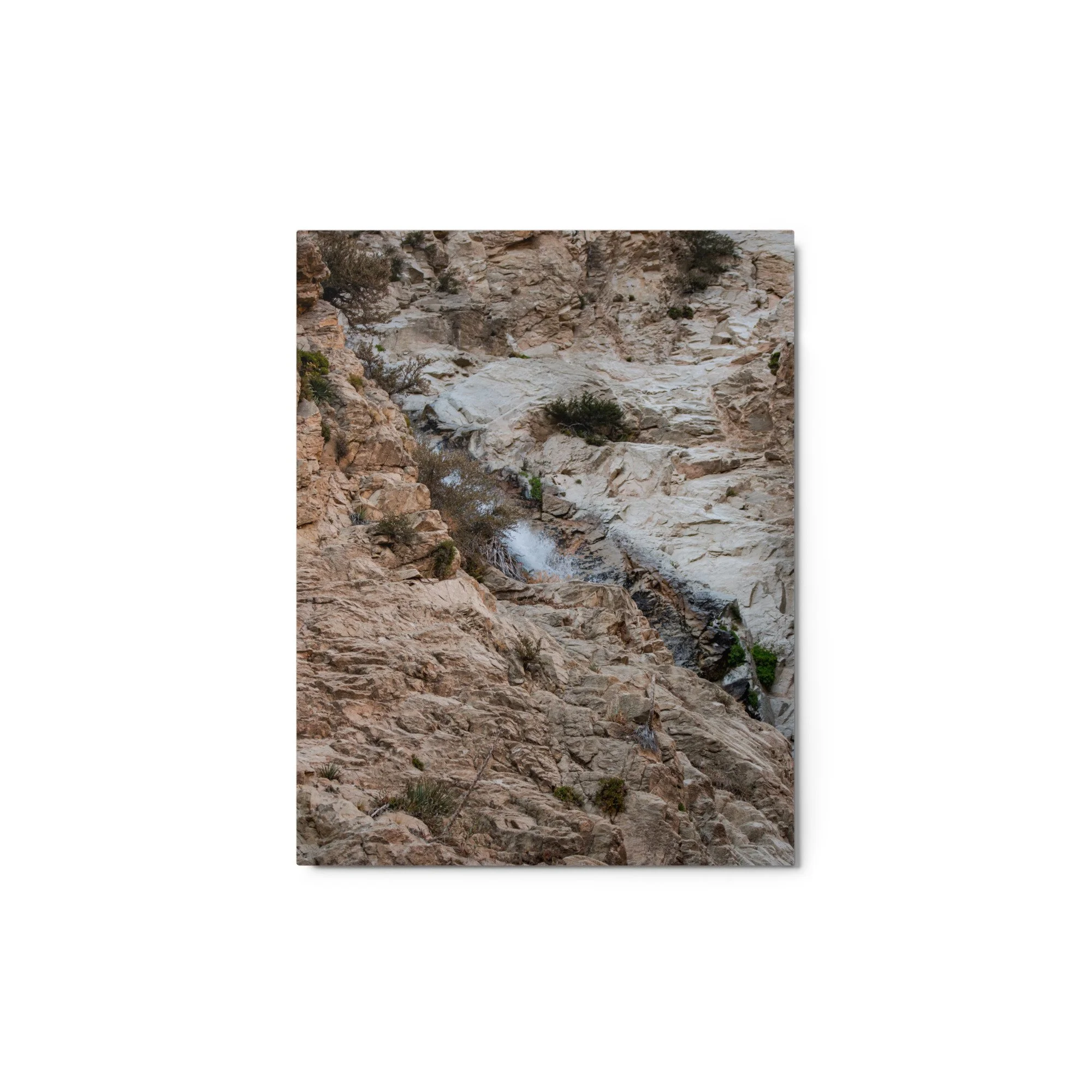 glossy-metal-print-(in)-white-11x14-front-6a8cc3195fbf3.jpg