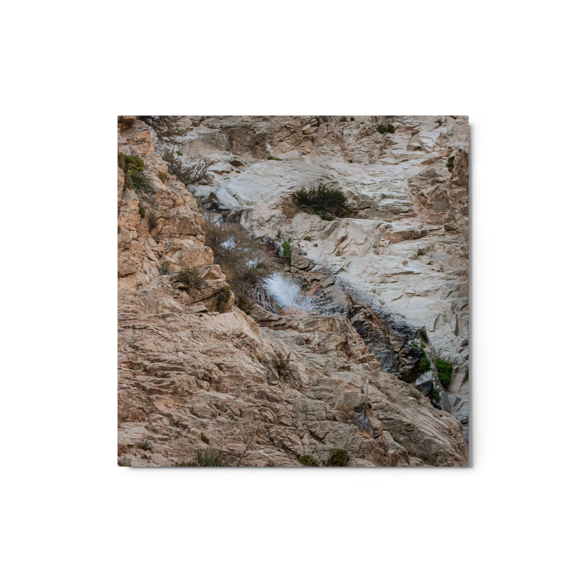 glossy-metal-print-(in)-white-12x12-front-6a8cc3195fc3b.jpg