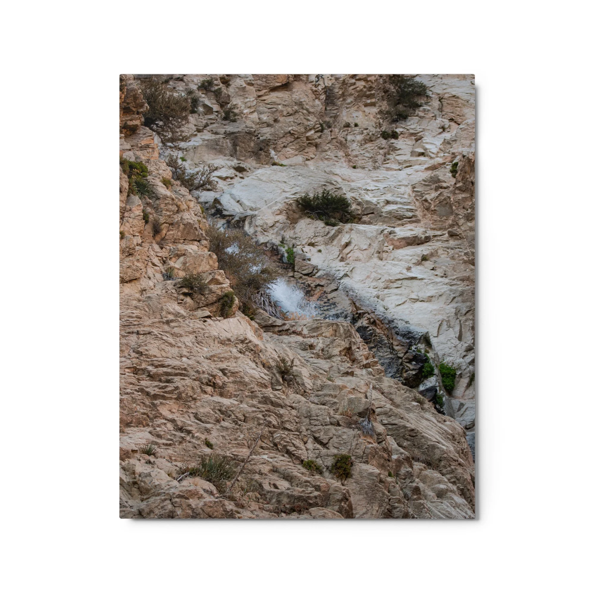 glossy-metal-print-(in)-white-16x20-front-6a8cc3195fc79.jpg