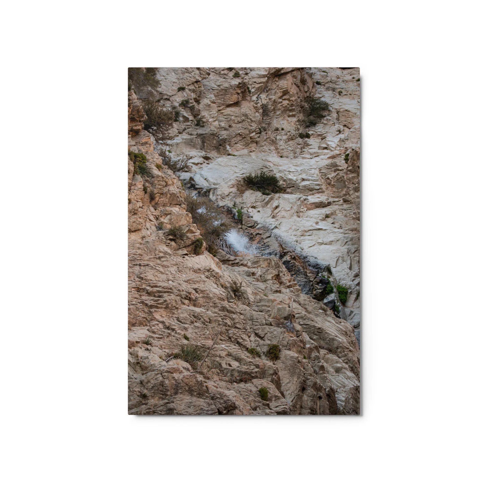 glossy-metal-print-(in)-white-20x30-front-6a8cc3195fcb5.jpg