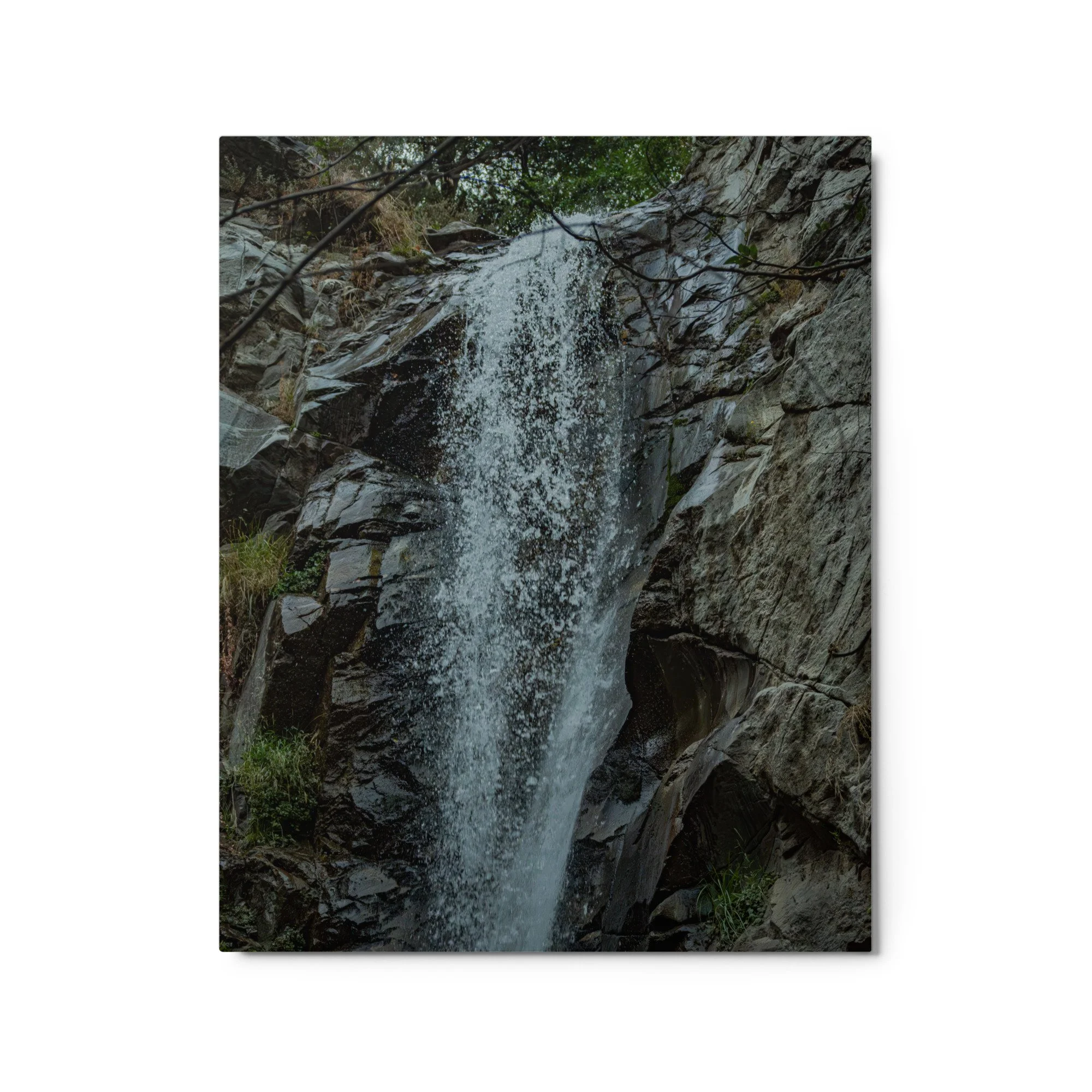 glossy-metal-print-(in)-white-16x20-front-6a9536deb16fe.jpg