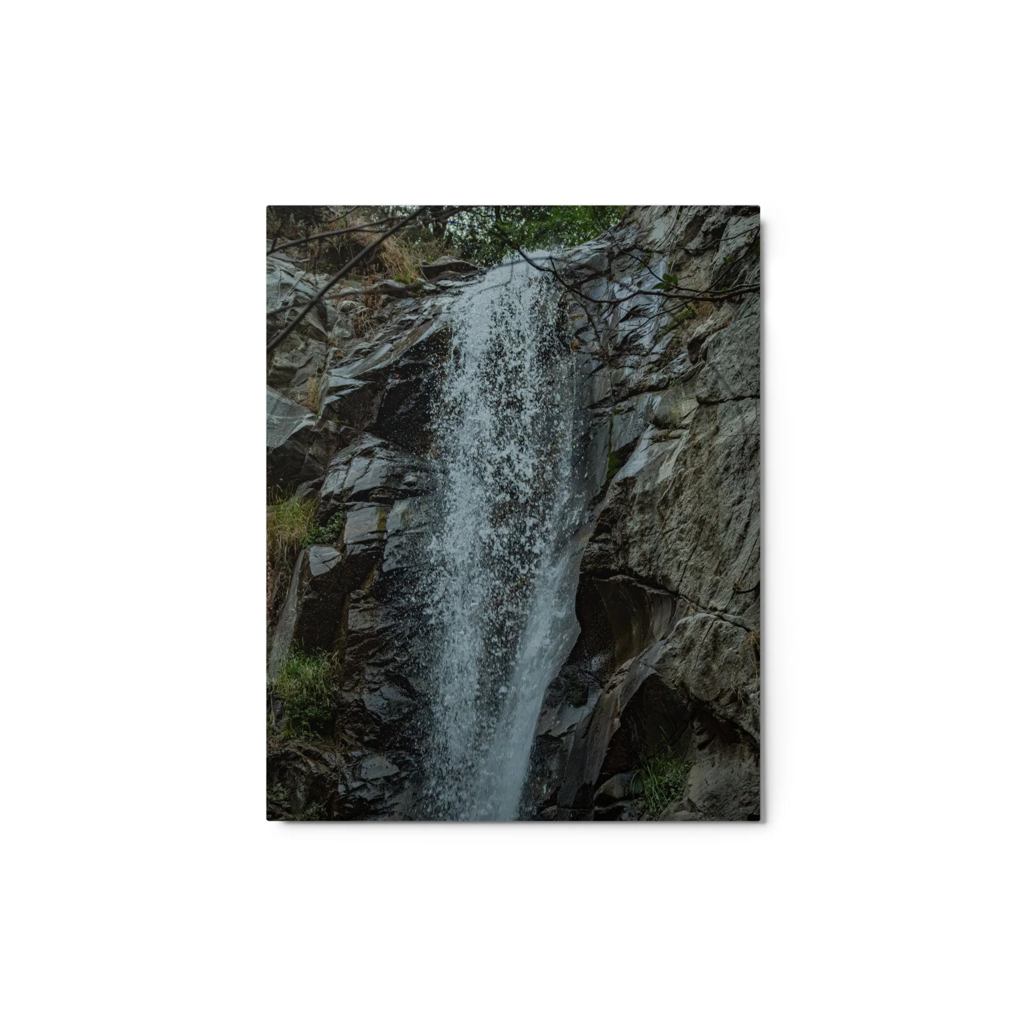 glossy-metal-print-(in)-white-8x10-front-6a9536deb1fd8.jpg