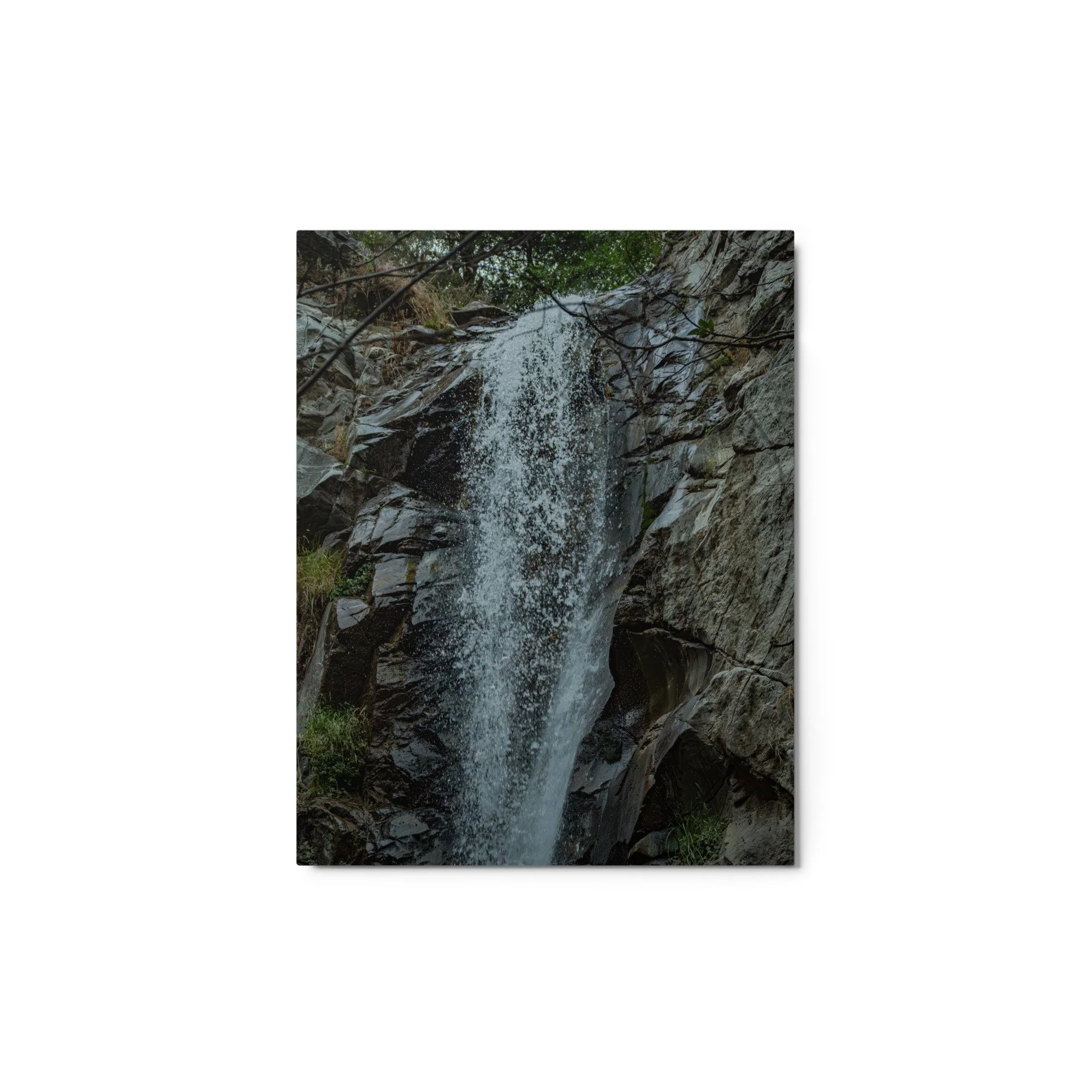 glossy-metal-print-(in)-white-11x14-front-6a9536deb202c.jpg