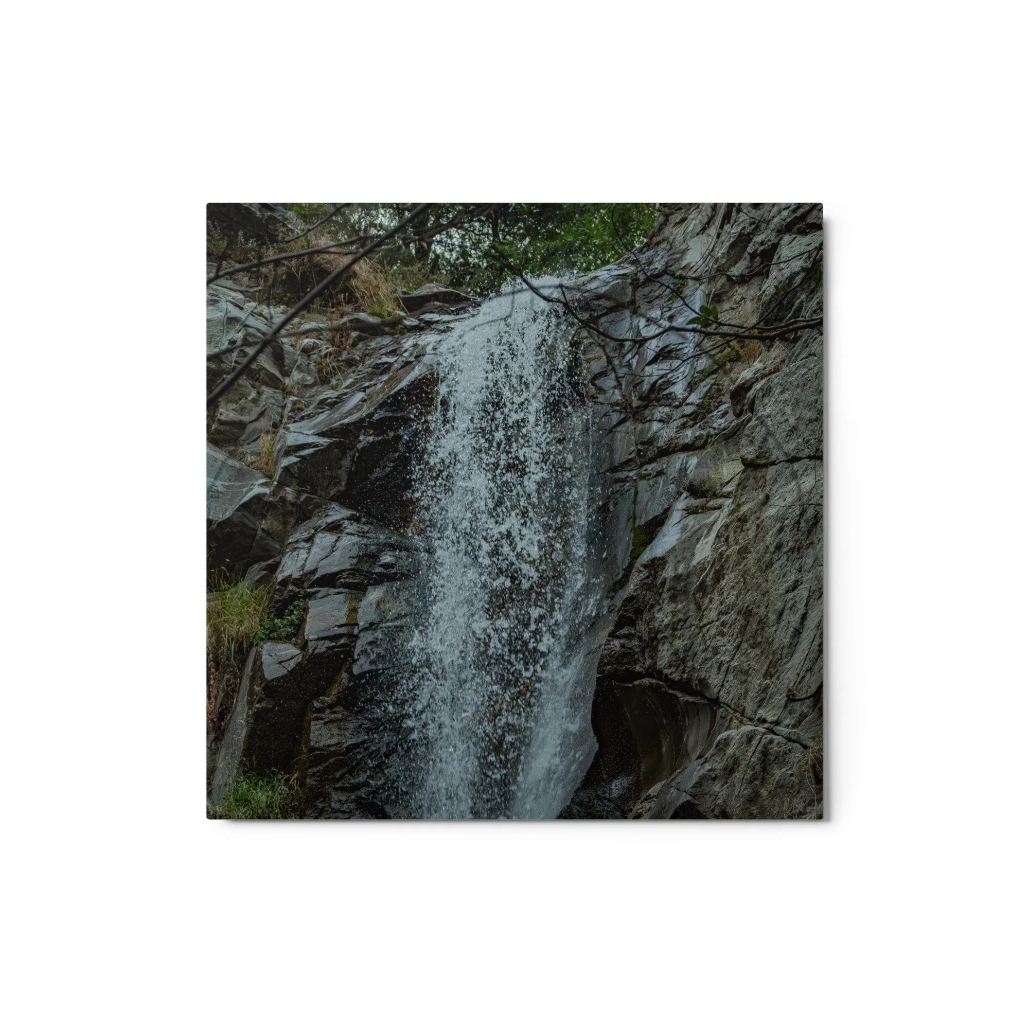 glossy-metal-print-(in)-white-12x12-front-6a9536deb2060.jpg