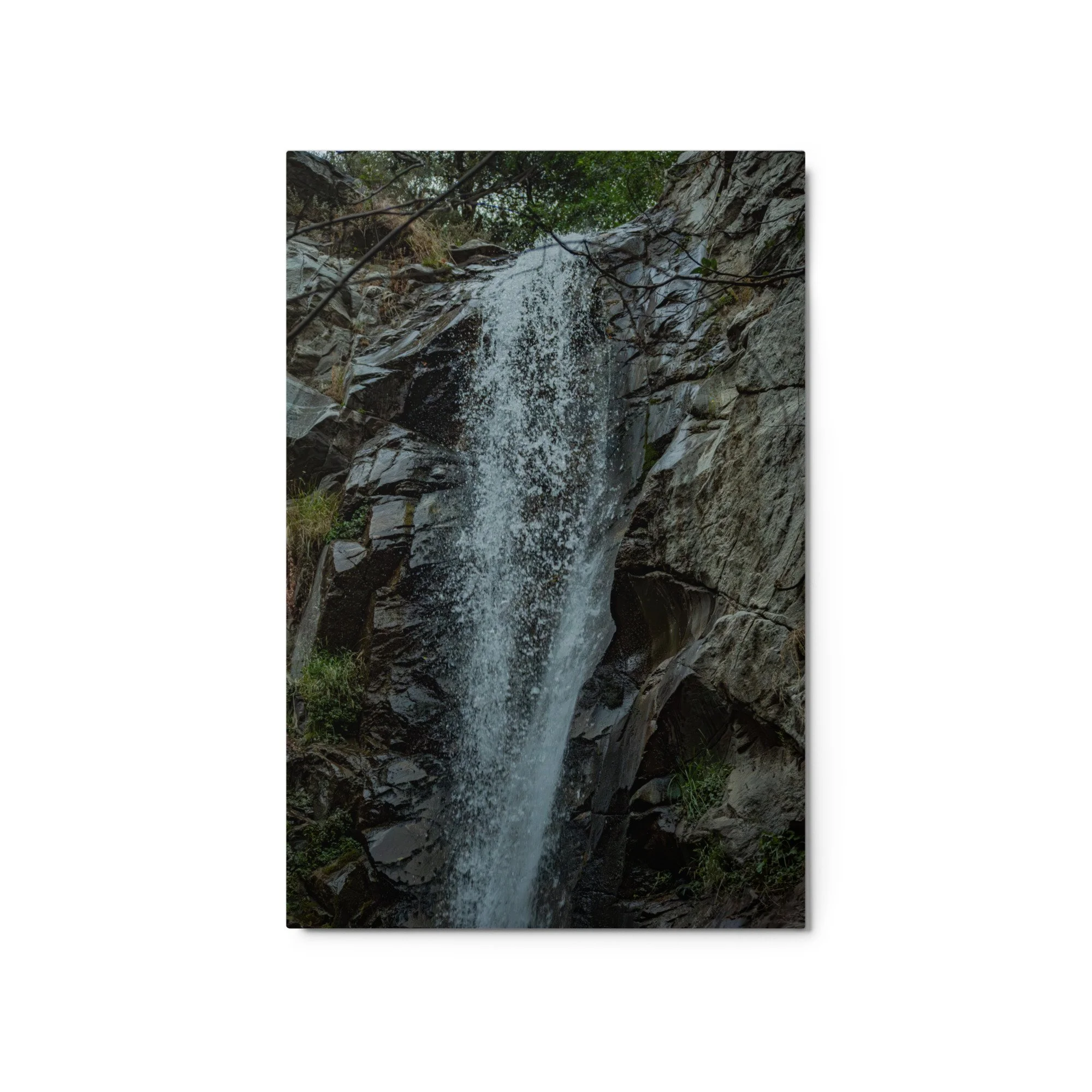 glossy-metal-print-(in)-white-20x30-front-6a9536deb209e.jpg