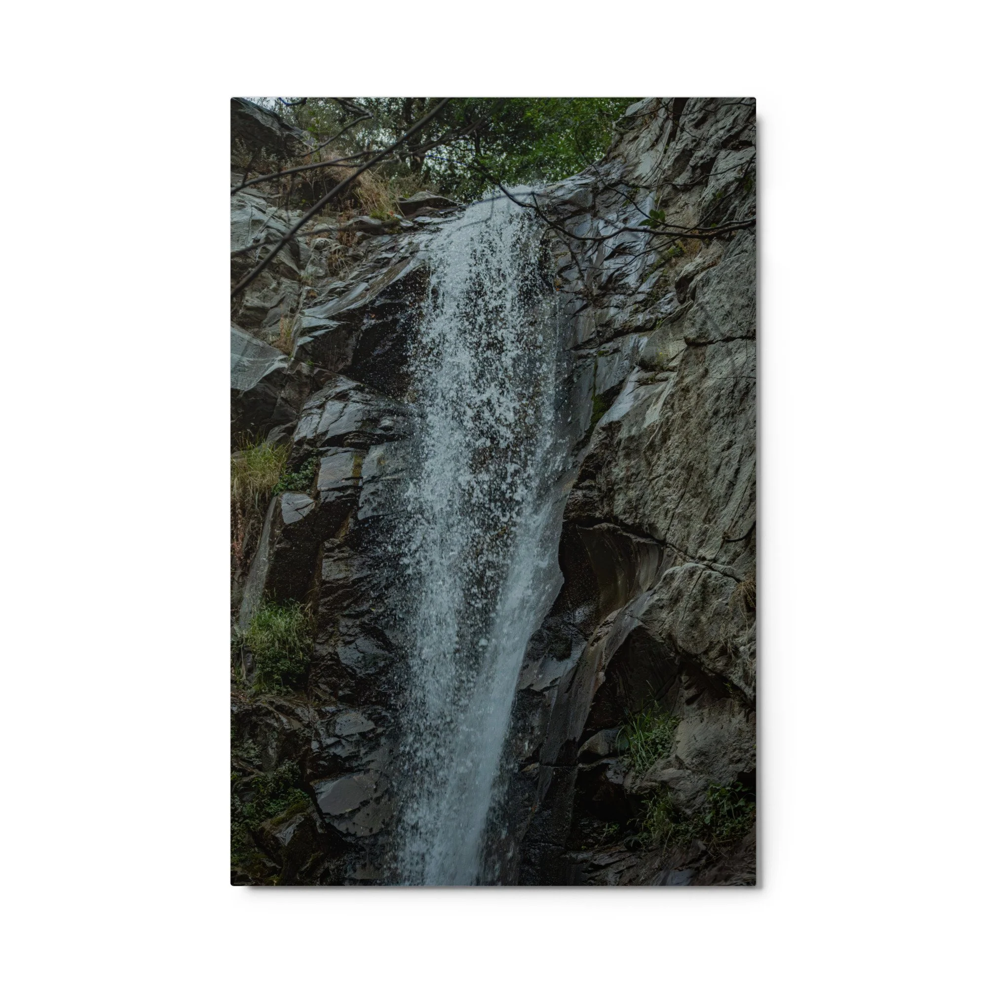 glossy-metal-print-(in)-white-24x36-front-6a9536deb20c9.jpg