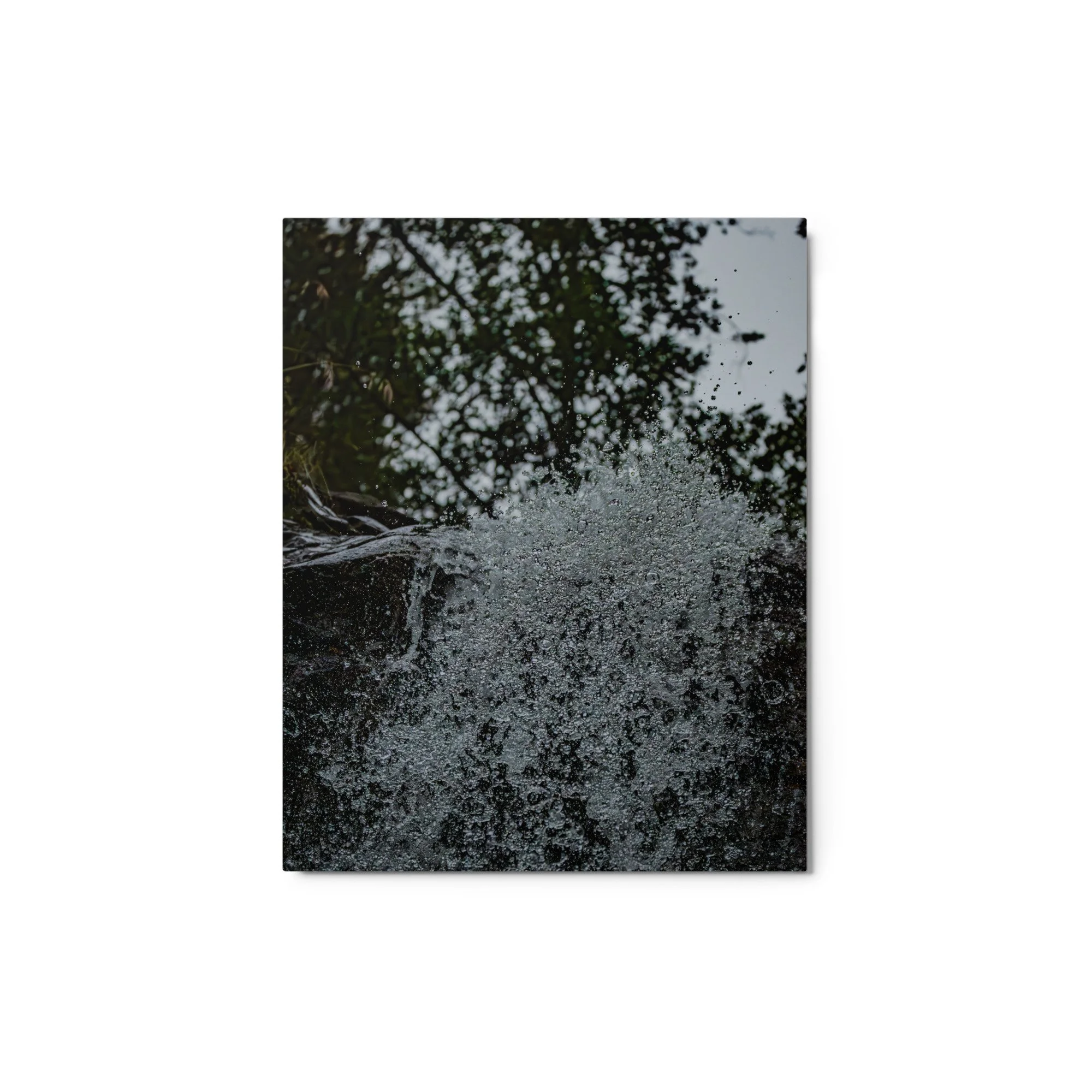 glossy-metal-print-(in)-white-8x10-front-6a953a20cf2da.jpg