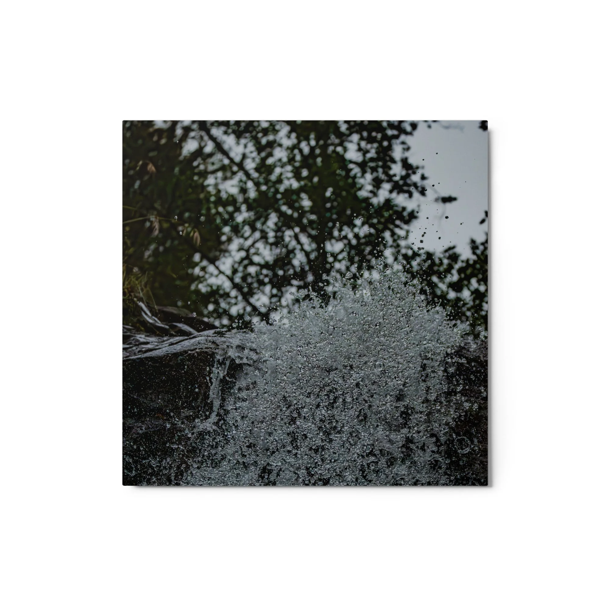 glossy-metal-print-(in)-white-12x12-front-6a953a20cf35d.jpg