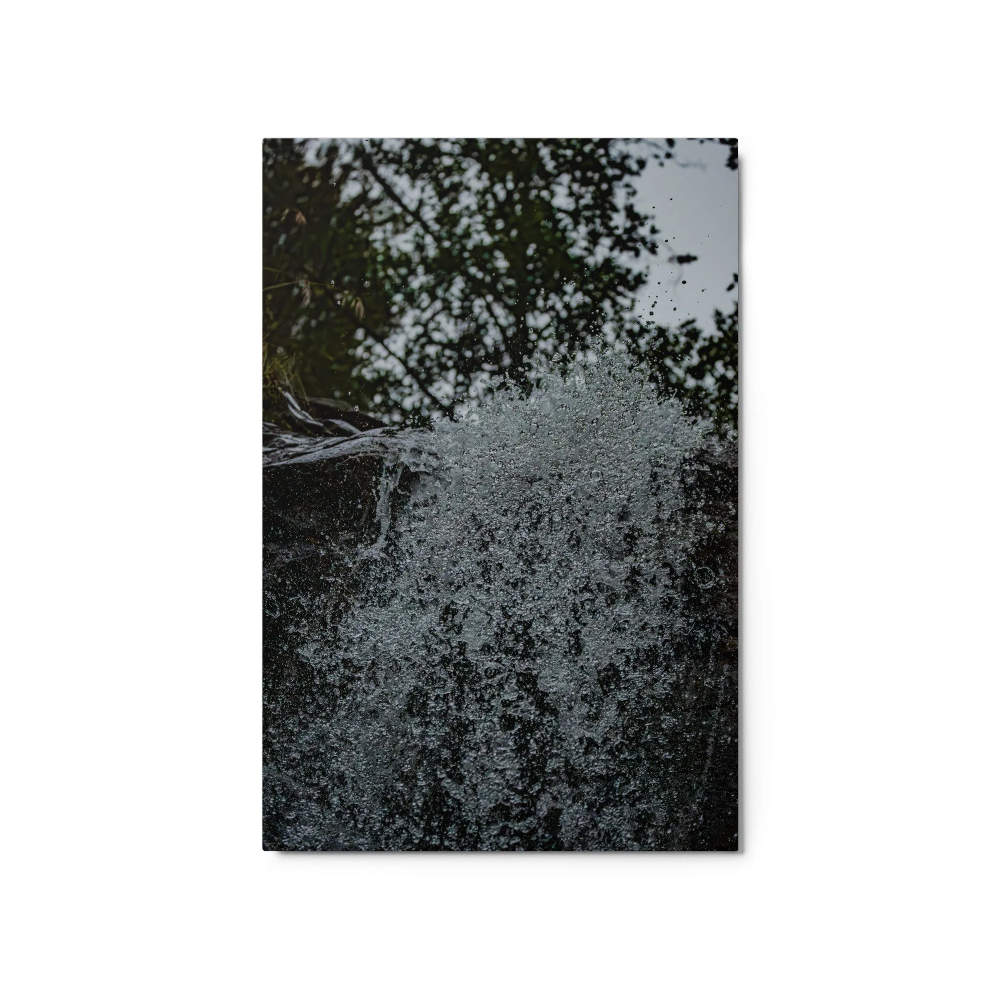 glossy-metal-print-(in)-white-20x30-front-6a953a20cf38f.jpg
