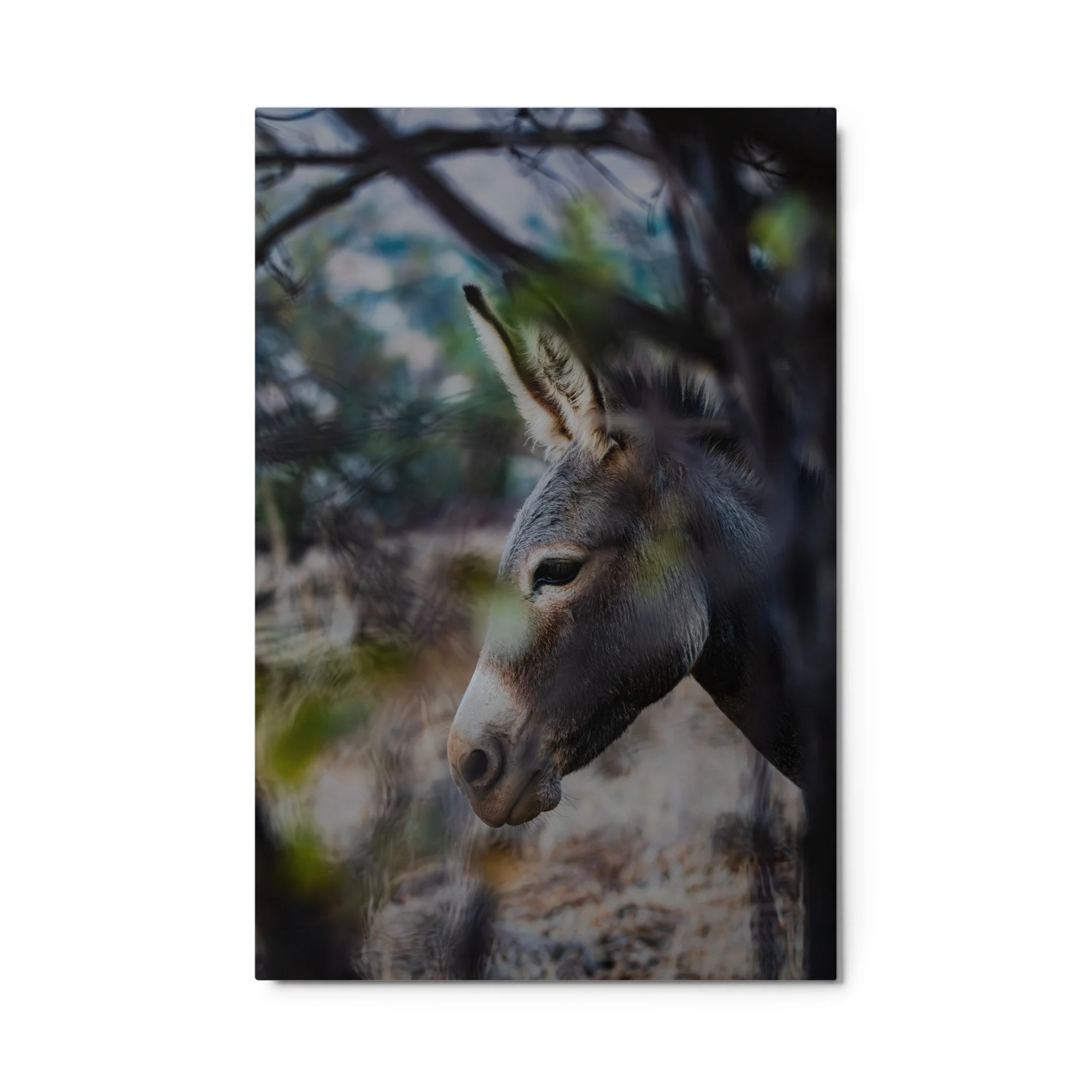 glossy-metal-print-(in)-white-24x36-front-6aa0da23f06cf.jpg