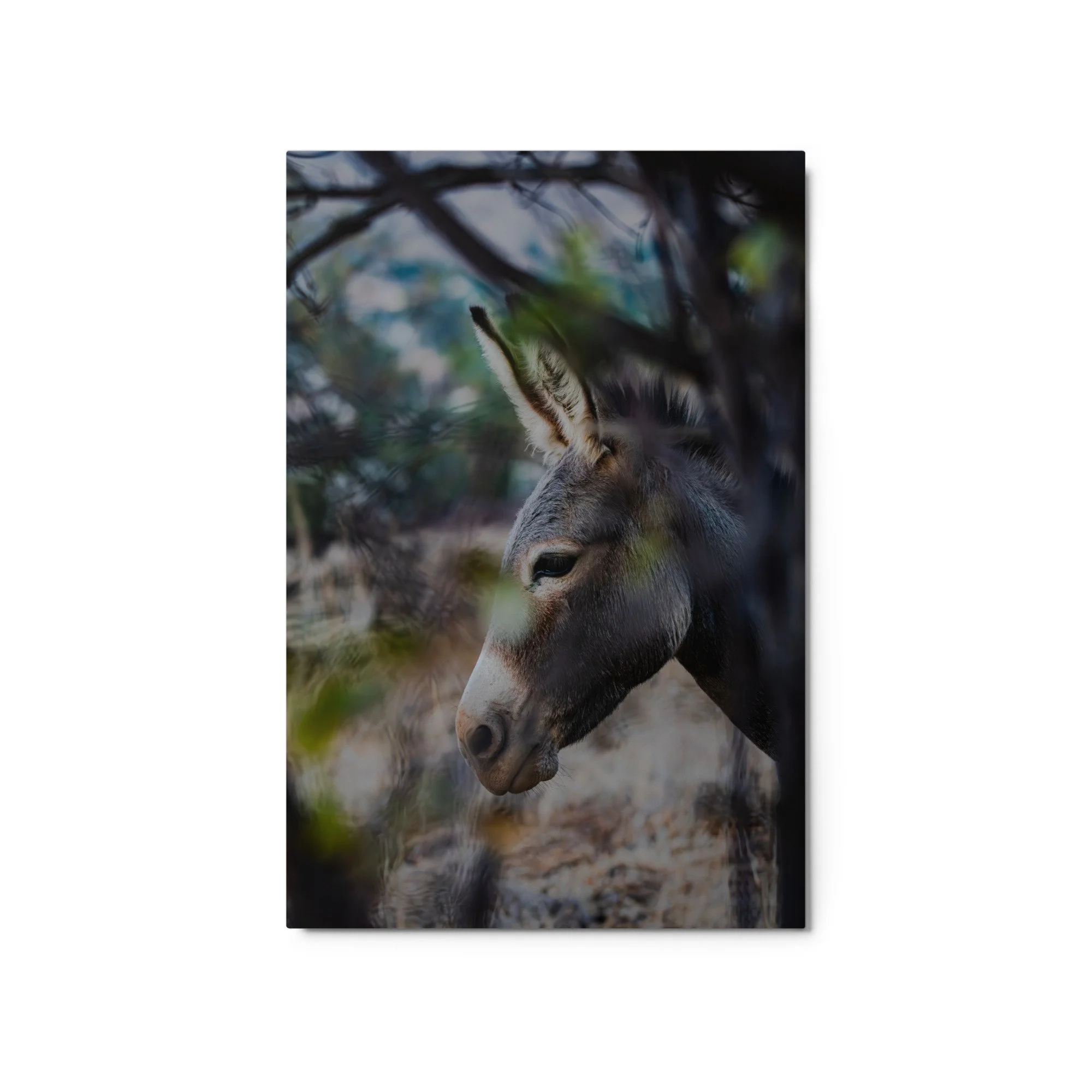glossy-metal-print-(in)-white-20x30-front-6aa0da23f1120.jpg