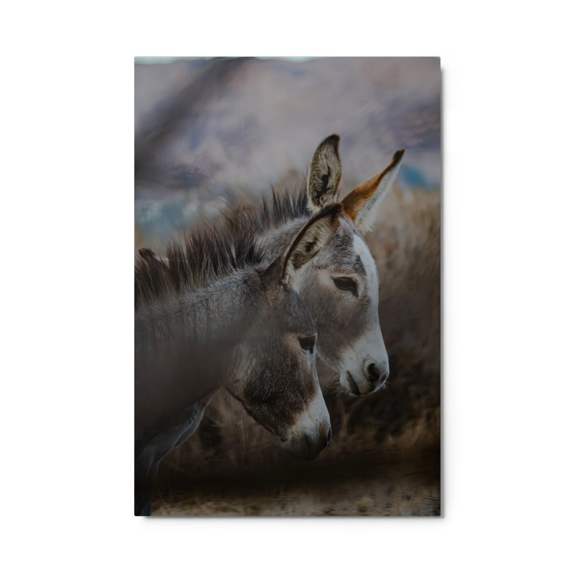 glossy-metal-print-(in)-white-24x36-front-6aa0dba534041.jpg