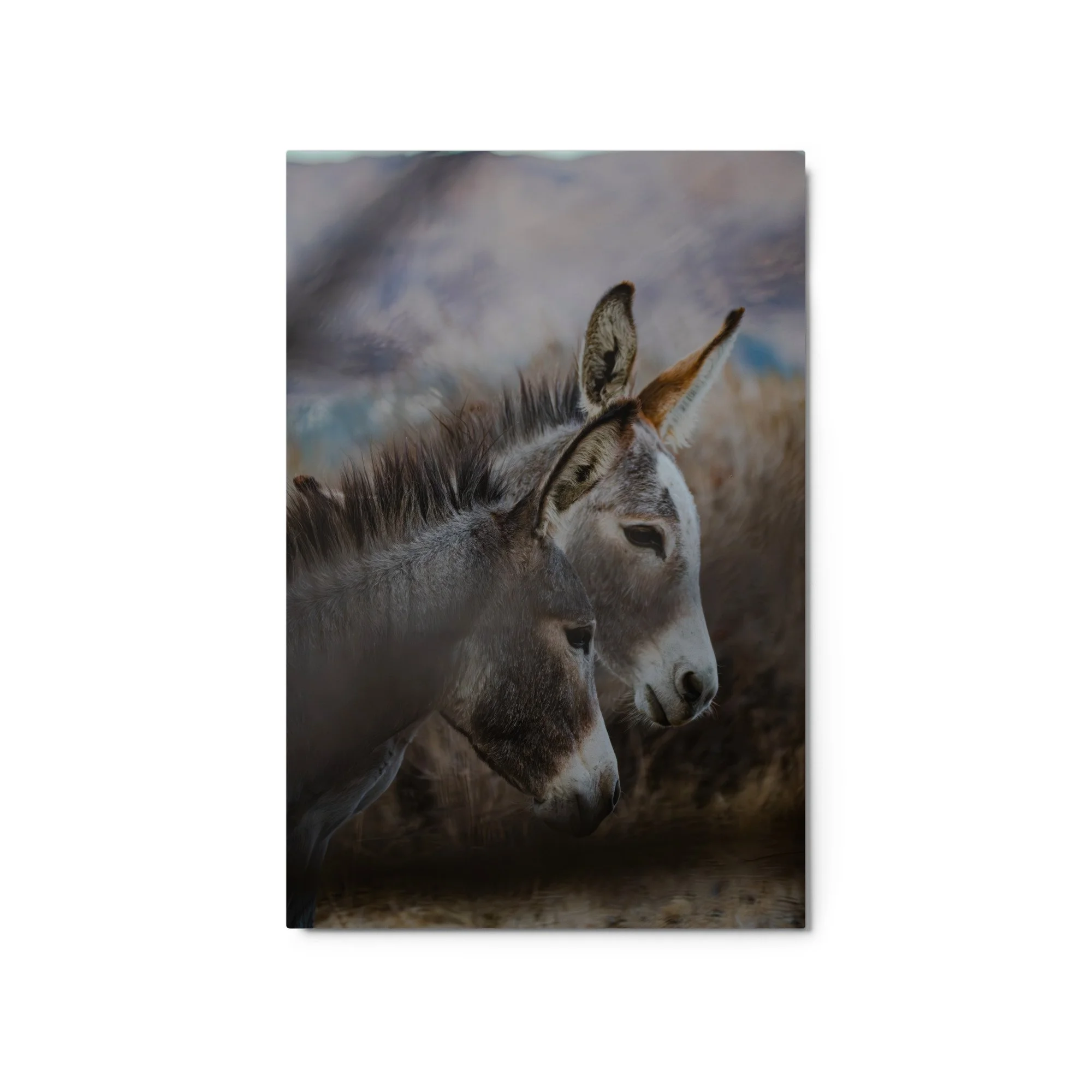 glossy-metal-print-(in)-white-20x30-front-6aa0dba539771.jpg