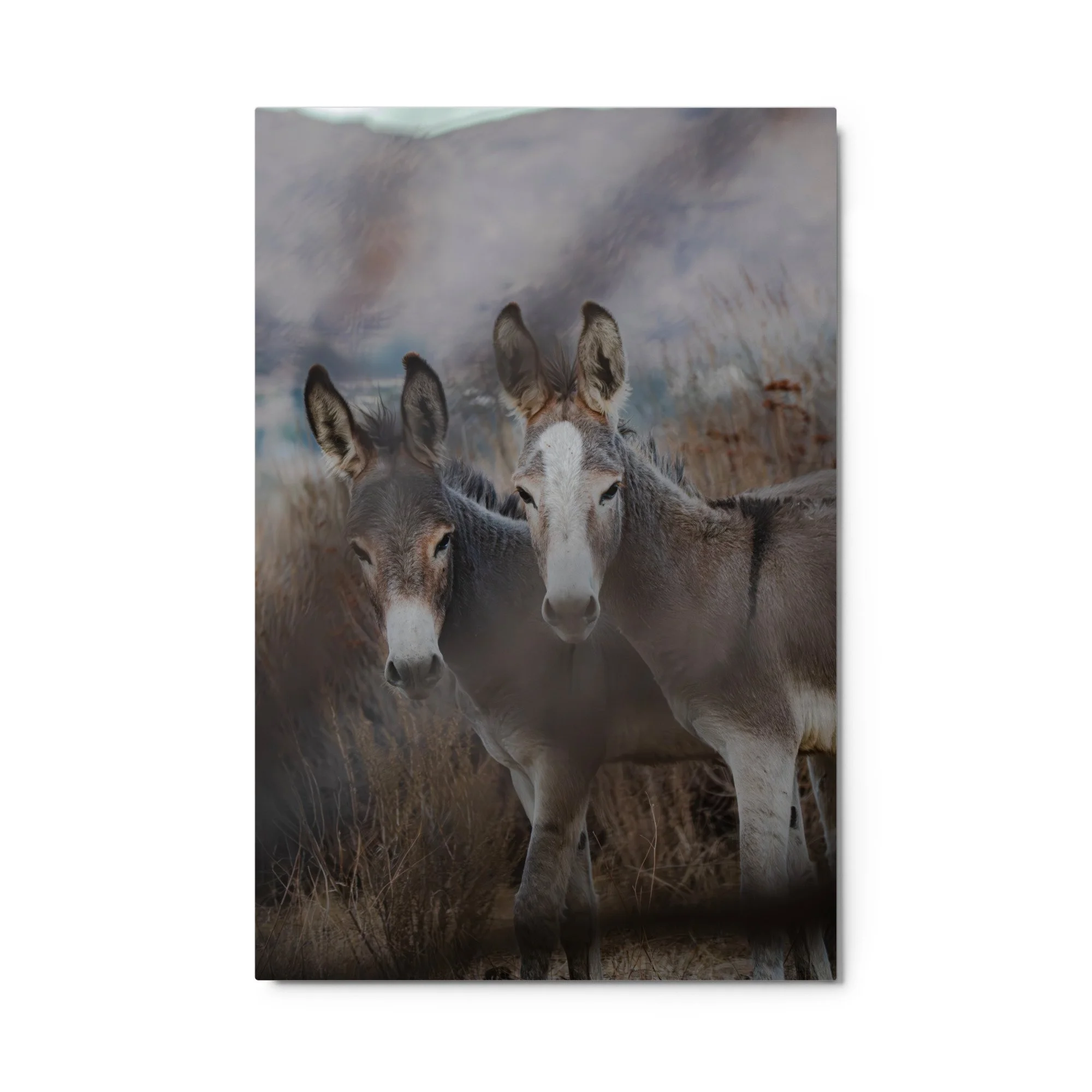 glossy-metal-print-(in)-white-24x36-front-6aa0dc25e248c.jpg