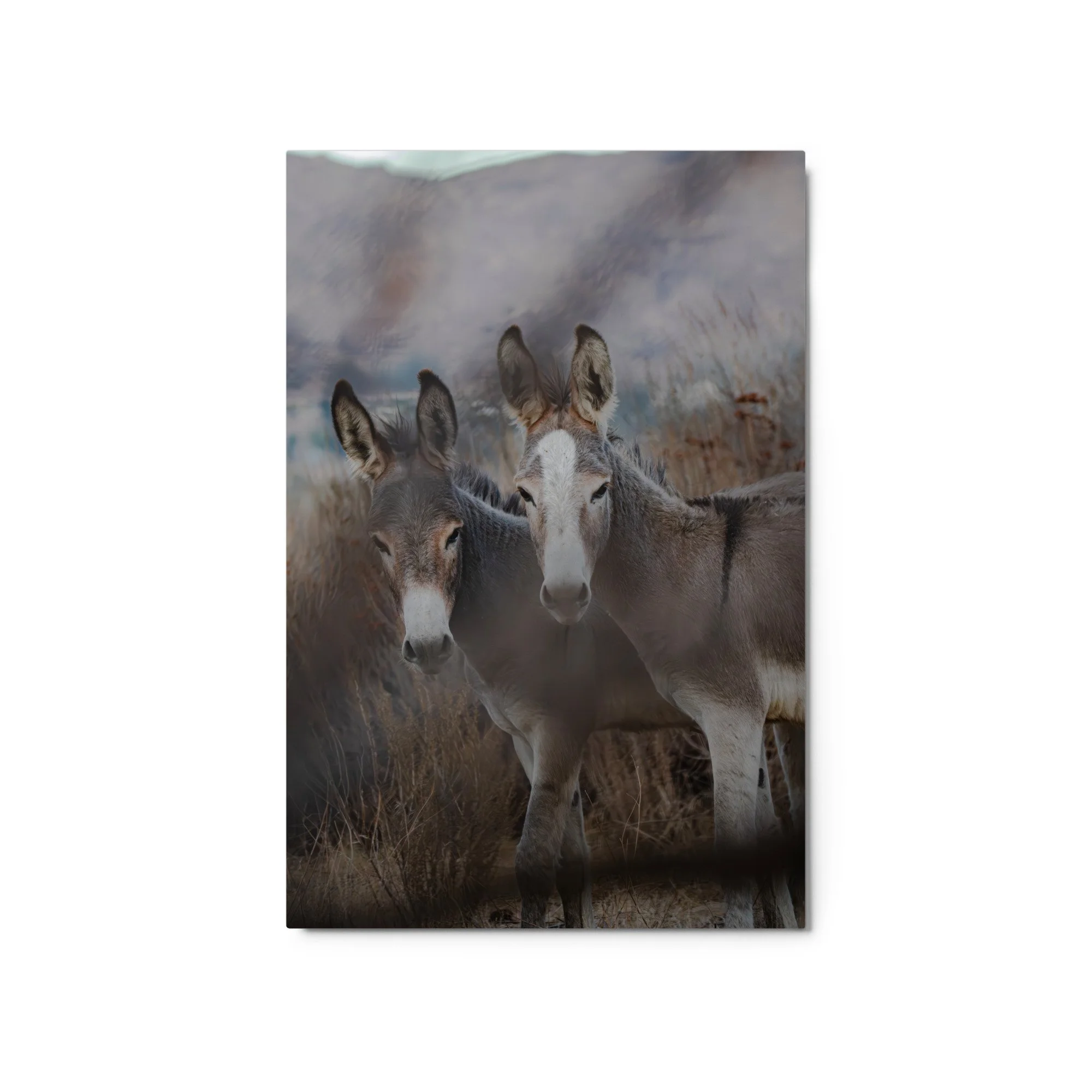 glossy-metal-print-(in)-white-20x30-front-6aa0dc25e3555.jpg