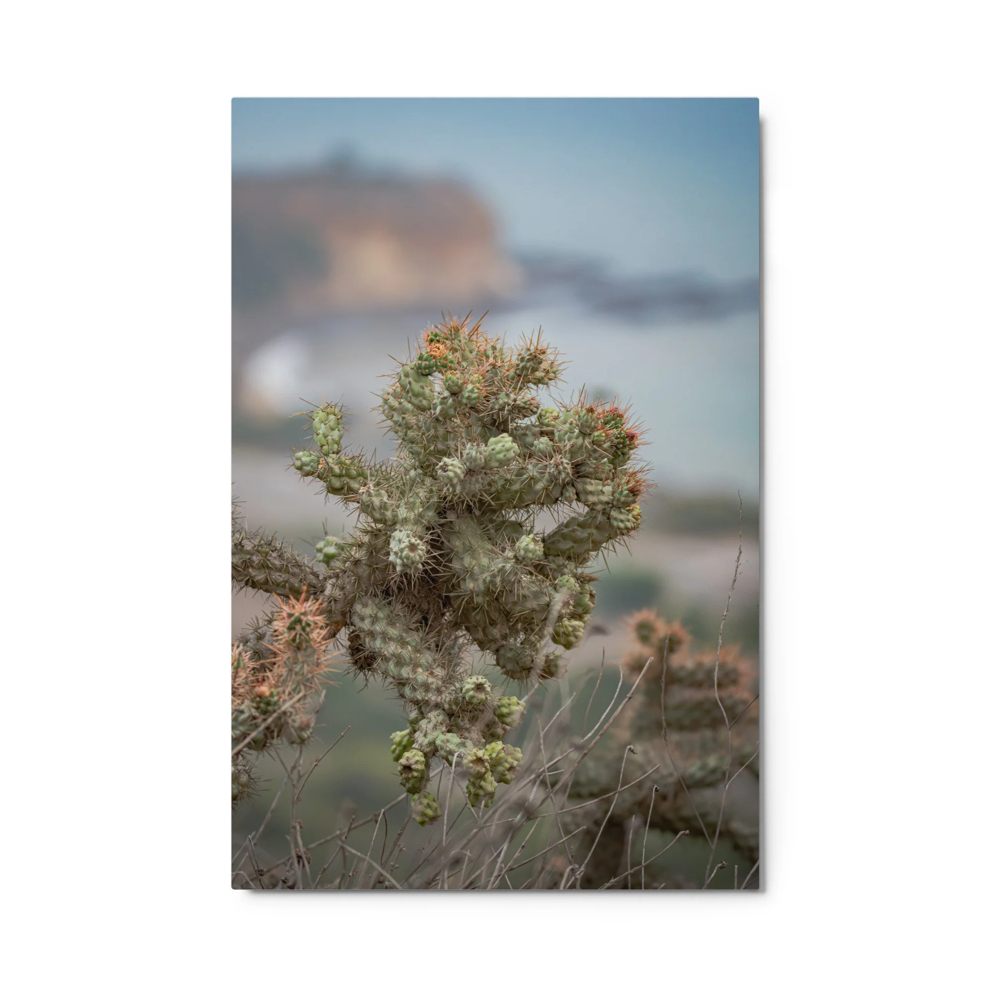 glossy-metal-print-(in)-white-24x36-front-6ab08c46504f4.jpg