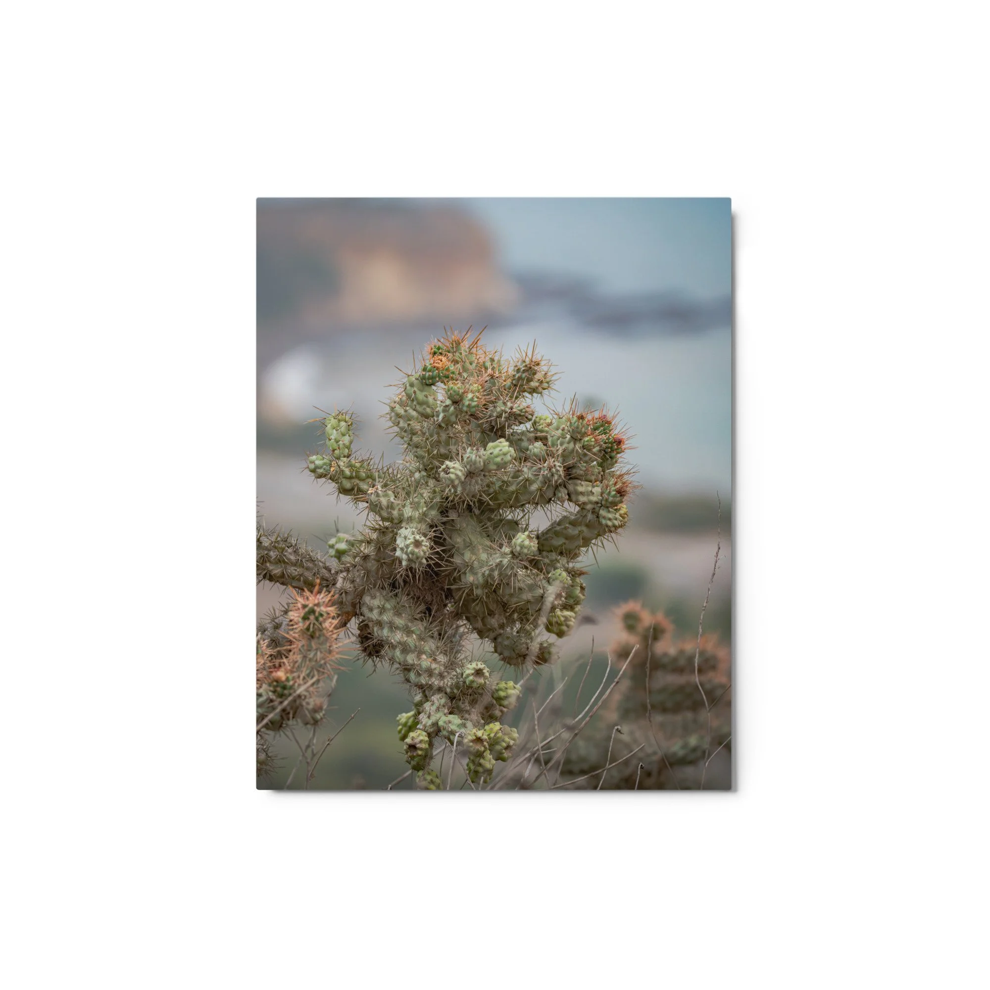 glossy-metal-print-(in)-white-8x10-front-6ab08c4650a51.jpg