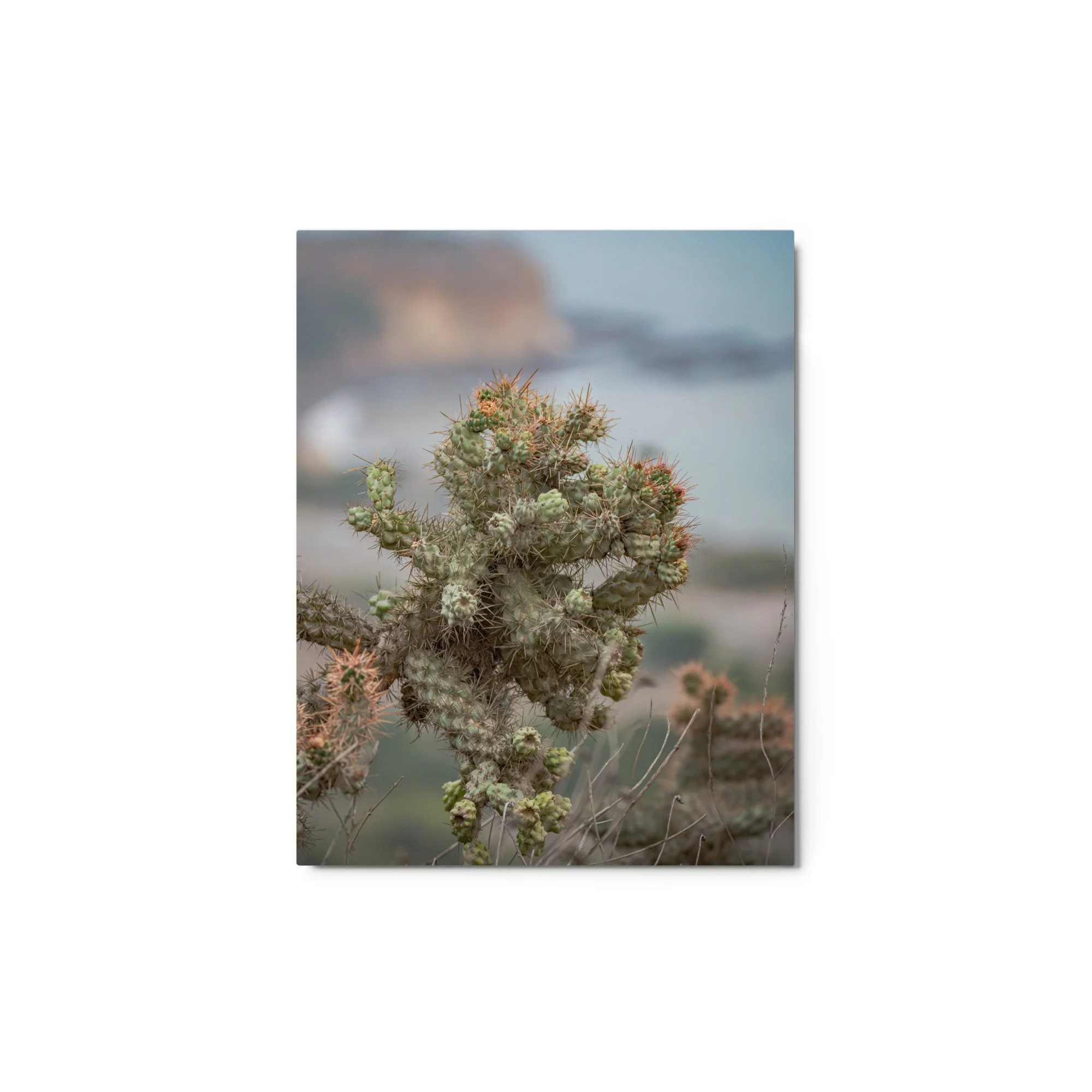 glossy-metal-print-(in)-white-11x14-front-6ab08c4650aa2.jpg