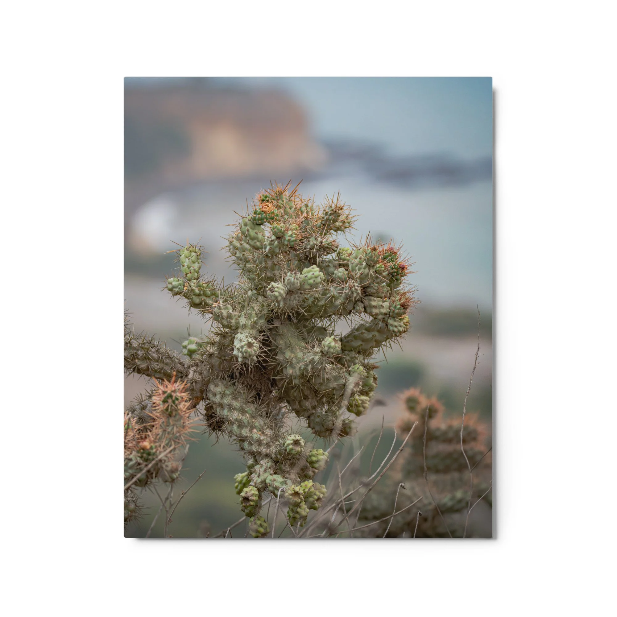 glossy-metal-print-(in)-white-16x20-front-6ab08c4650b0e.jpg