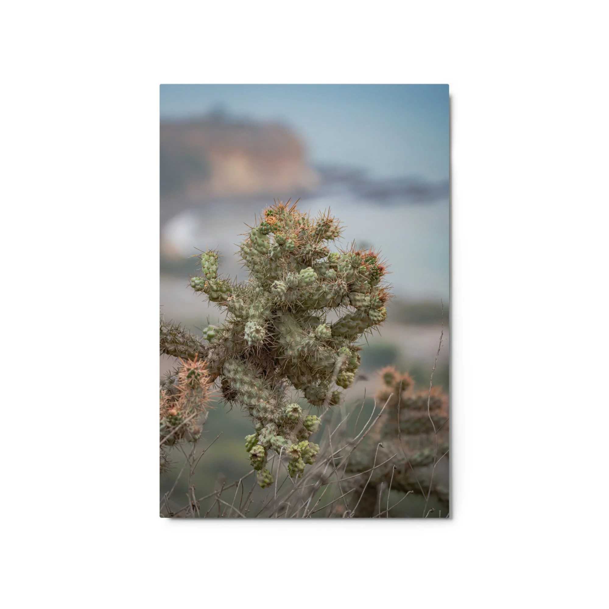 glossy-metal-print-(in)-white-20x30-front-6ab08c4650b3d.jpg