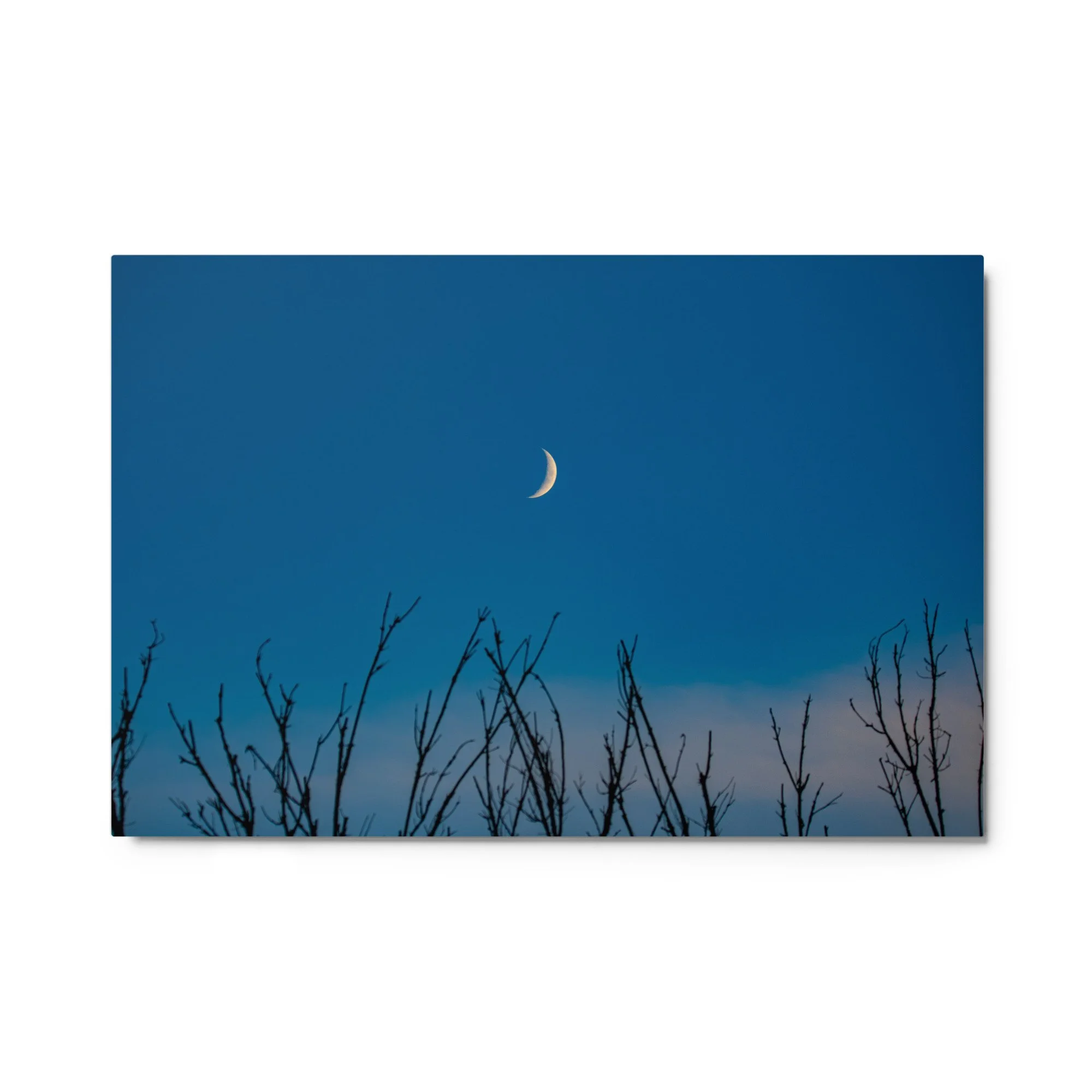 glossy-metal-print-(in)-white-24x36-front-6abab9c1f03fa.jpg