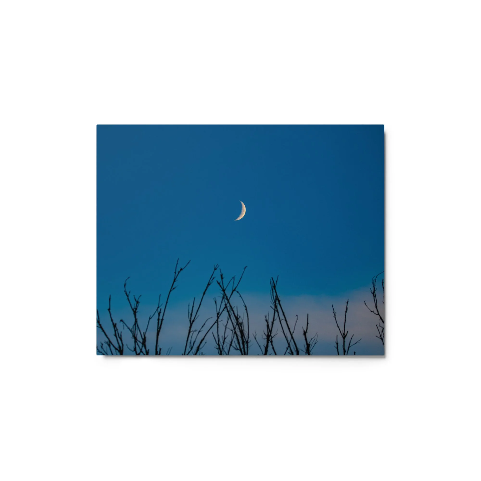 glossy-metal-print-(in)-white-8x10-front-6abab9c1f0a01.jpg