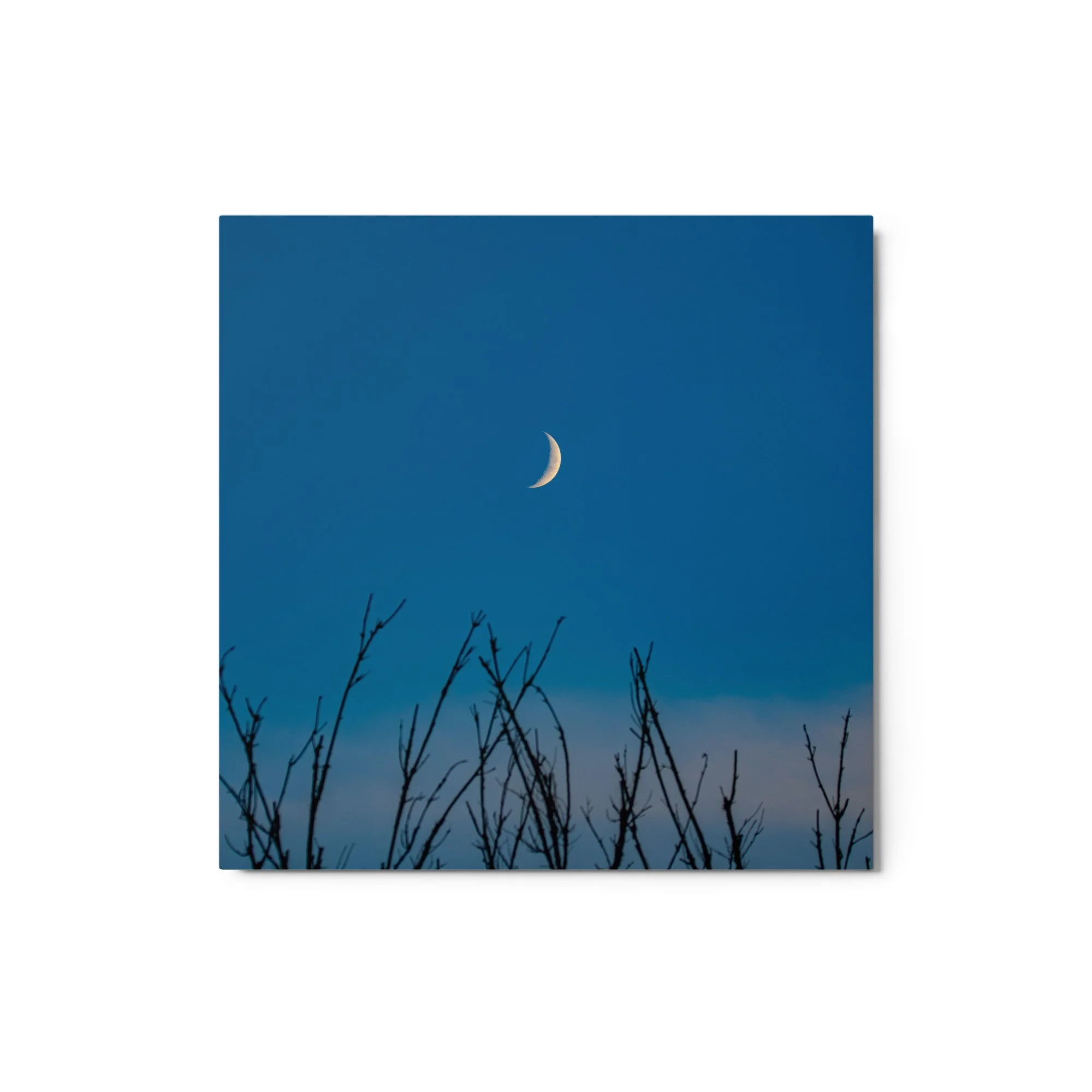 glossy-metal-print-(in)-white-12x12-front-6abab9c1f0aa1.jpg