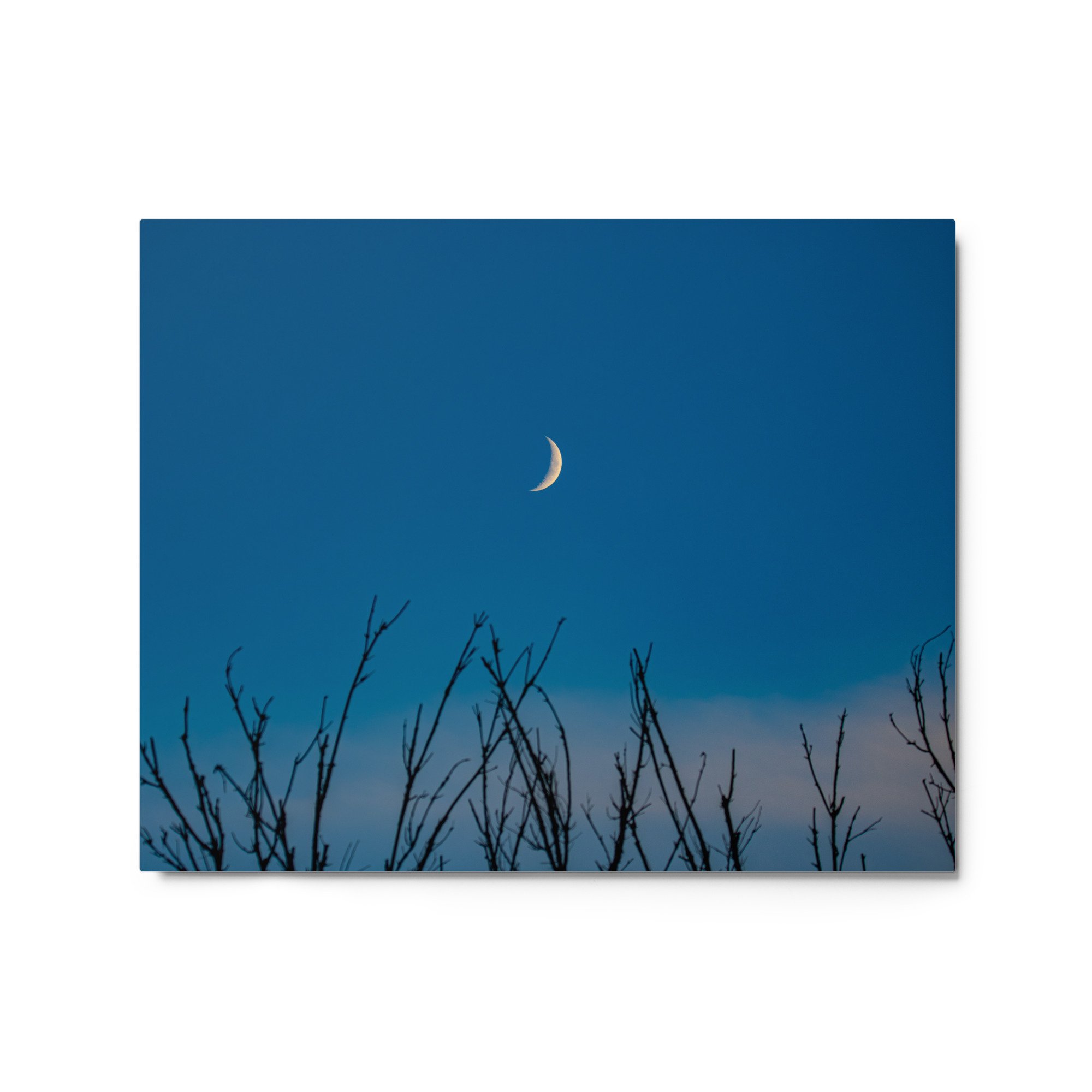glossy-metal-print-(in)-white-16x20-front-6abab9c1f0ad3.jpg