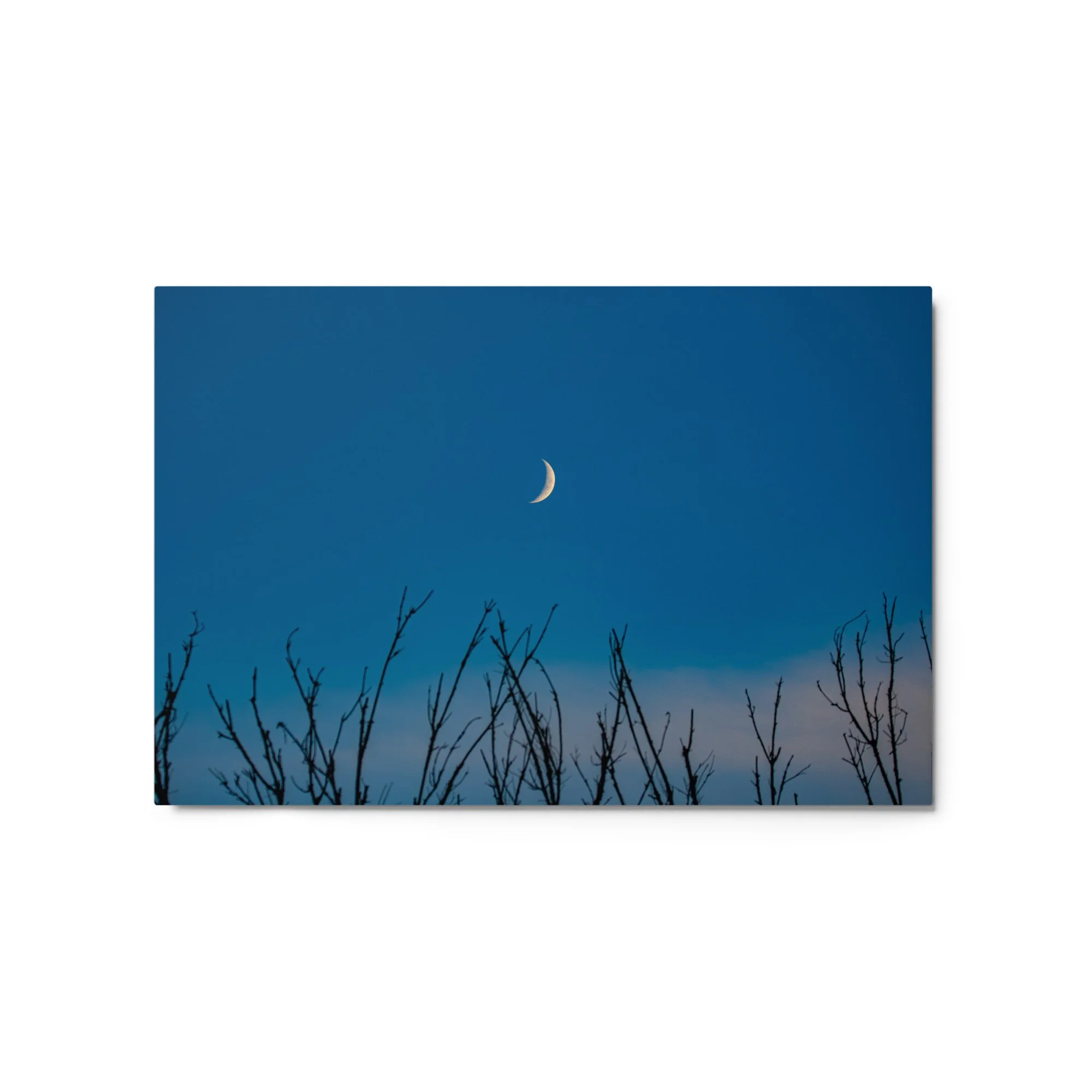 glossy-metal-print-(in)-white-20x30-front-6abab9c1f0b02.jpg