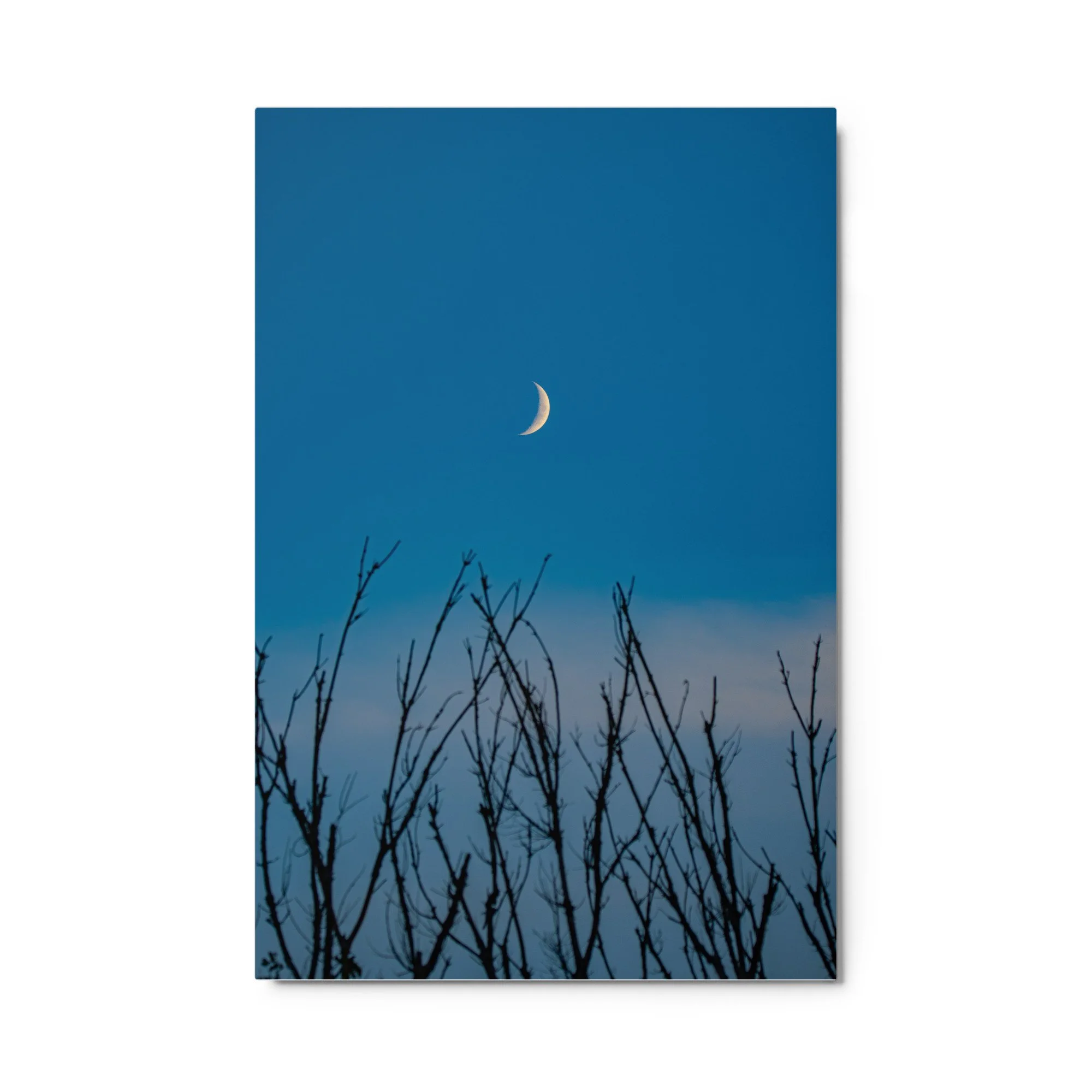 glossy-metal-print-(in)-white-24x36-front-6ababd0a35372.jpg