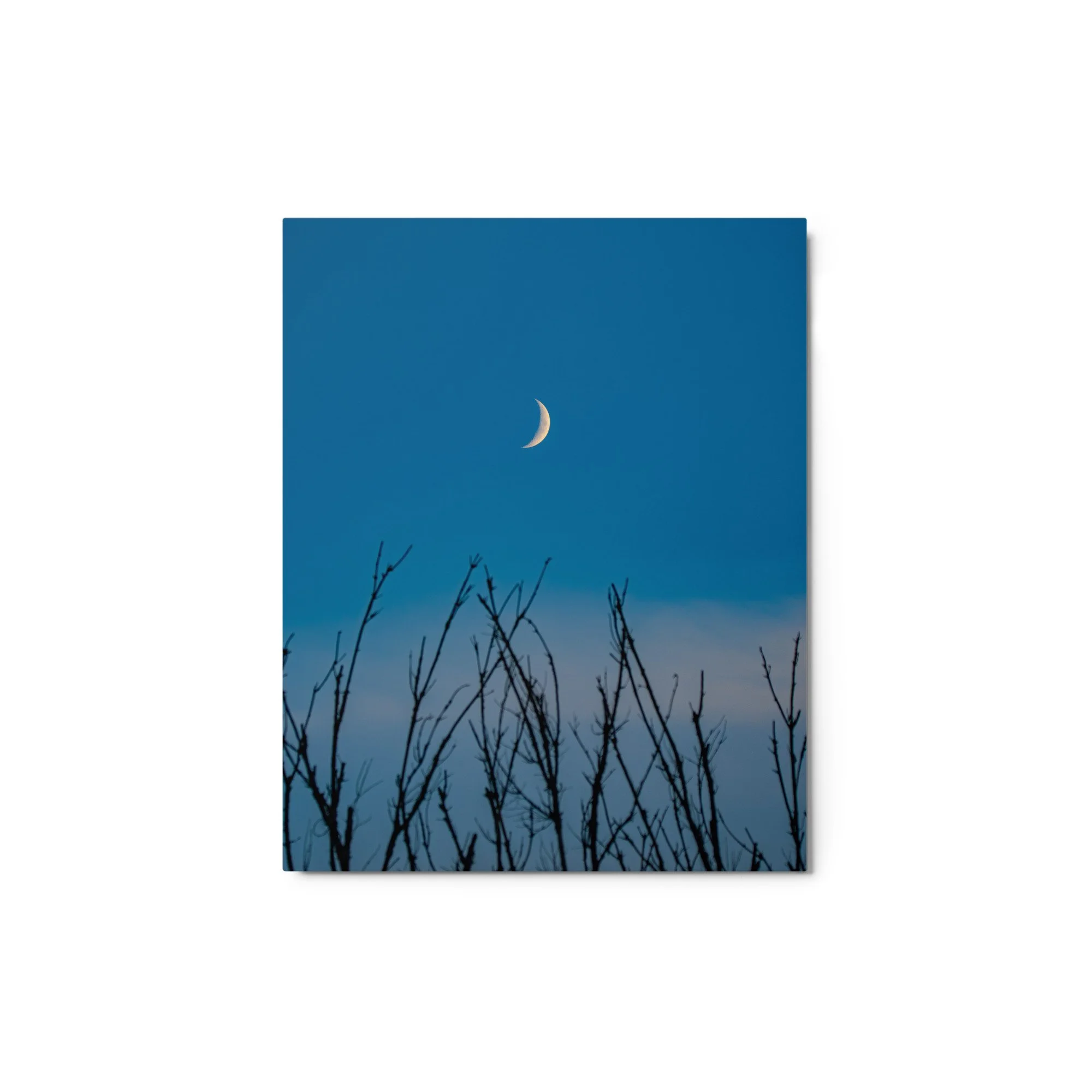 glossy-metal-print-(in)-white-8x10-front-6ababd0a36036.jpg
