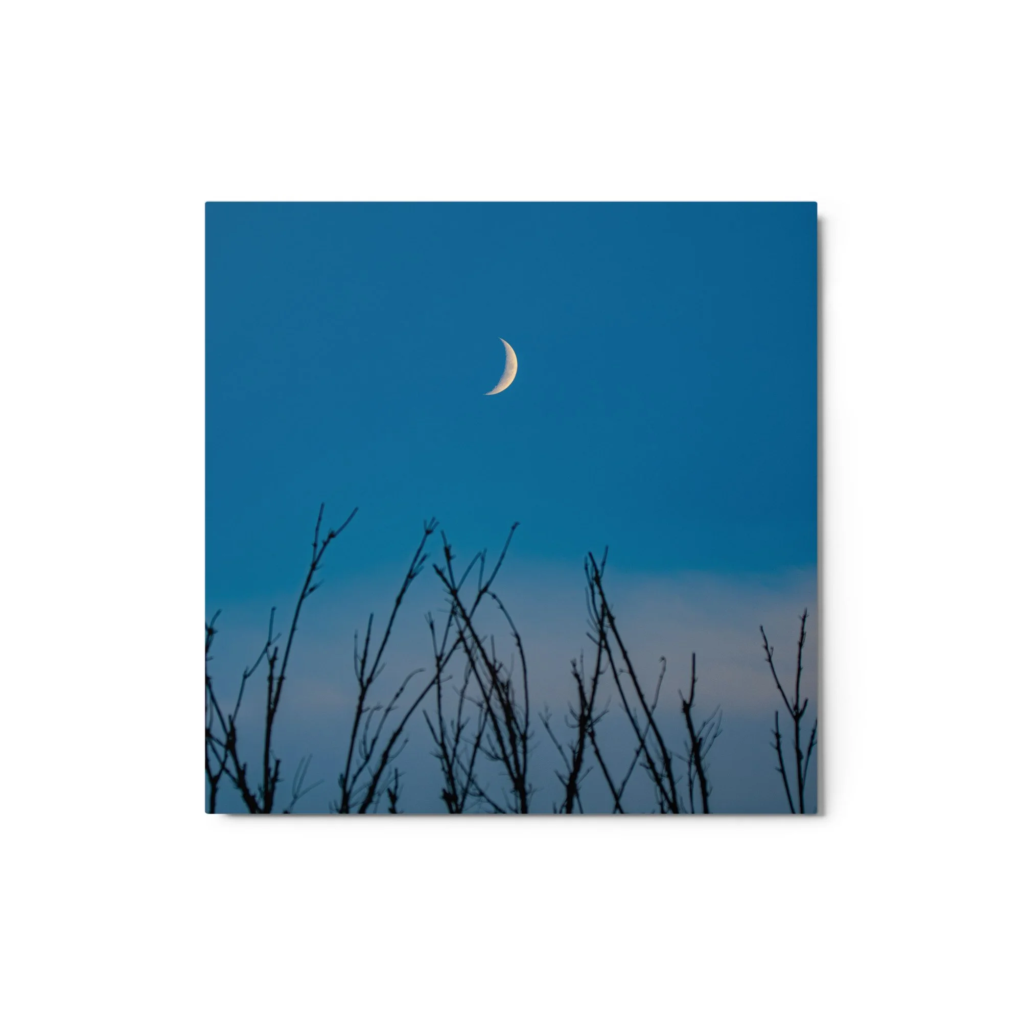glossy-metal-print-(in)-white-12x12-front-6ababd0a360b9.jpg
