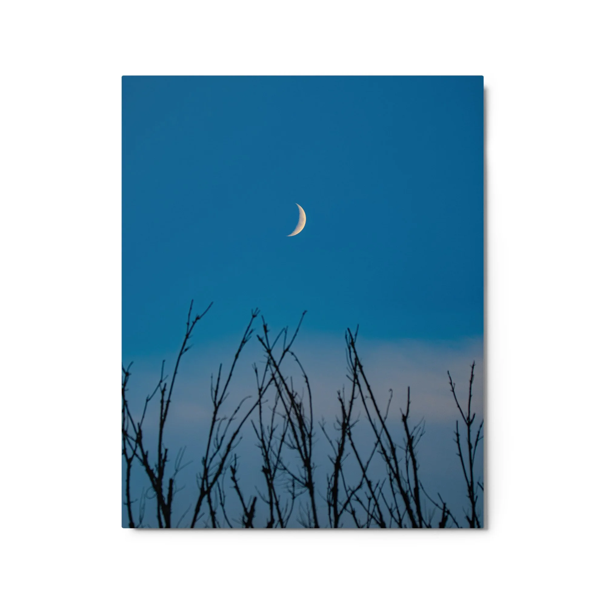 glossy-metal-print-(in)-white-16x20-front-6ababd0a360e9.jpg