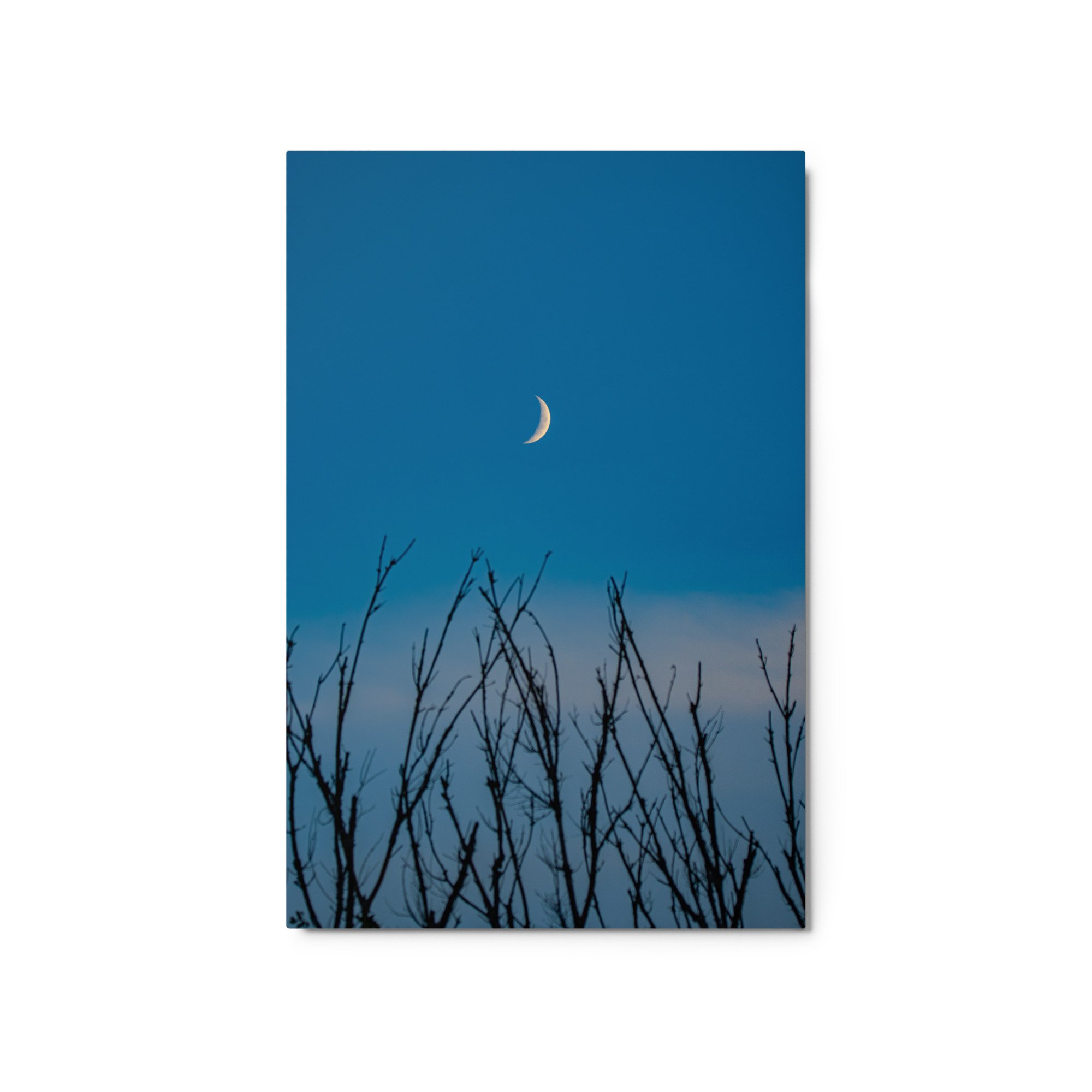 glossy-metal-print-(in)-white-20x30-front-6ababd0a36118.jpg