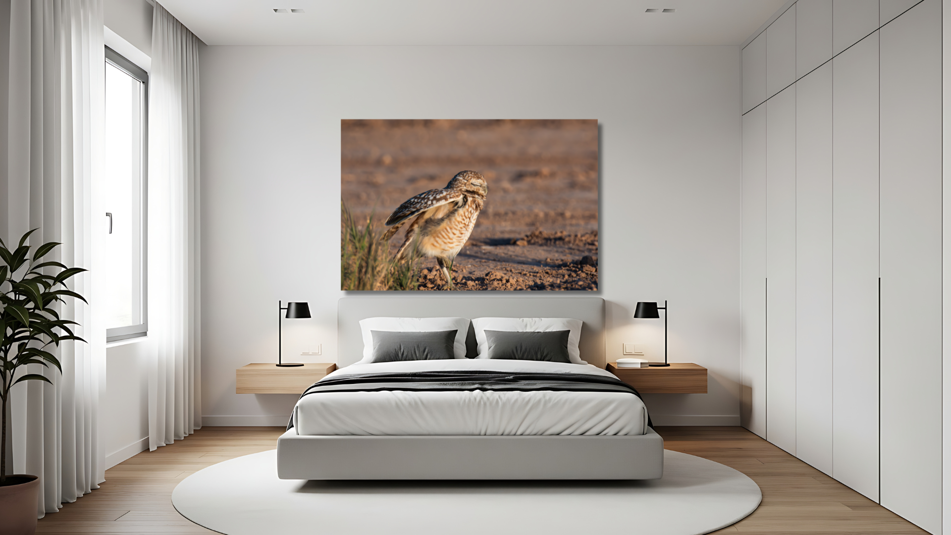 Southern California wildlife photography created to bring nature into everyday spaces.