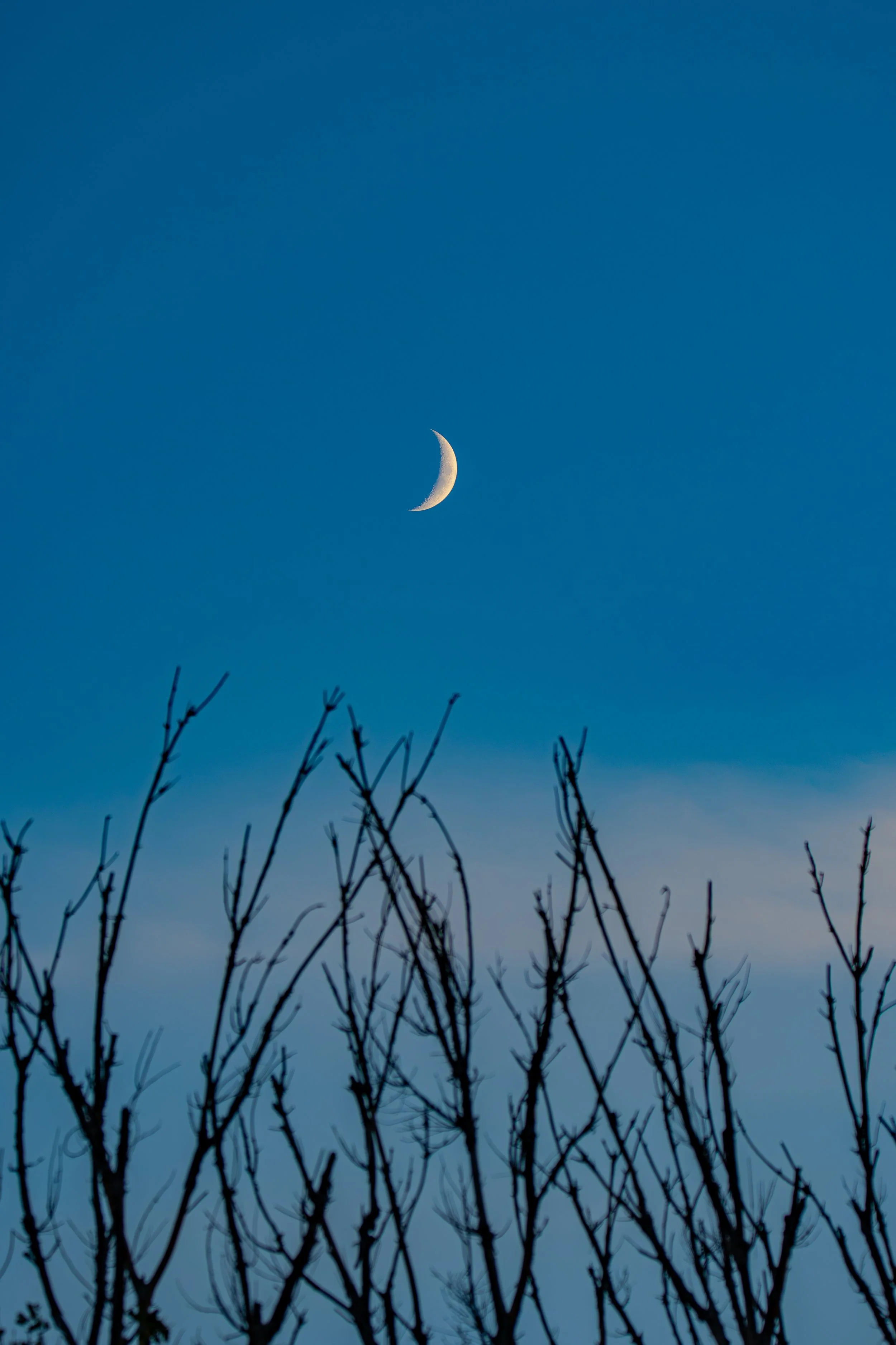 Look up!  Can you find the moon?